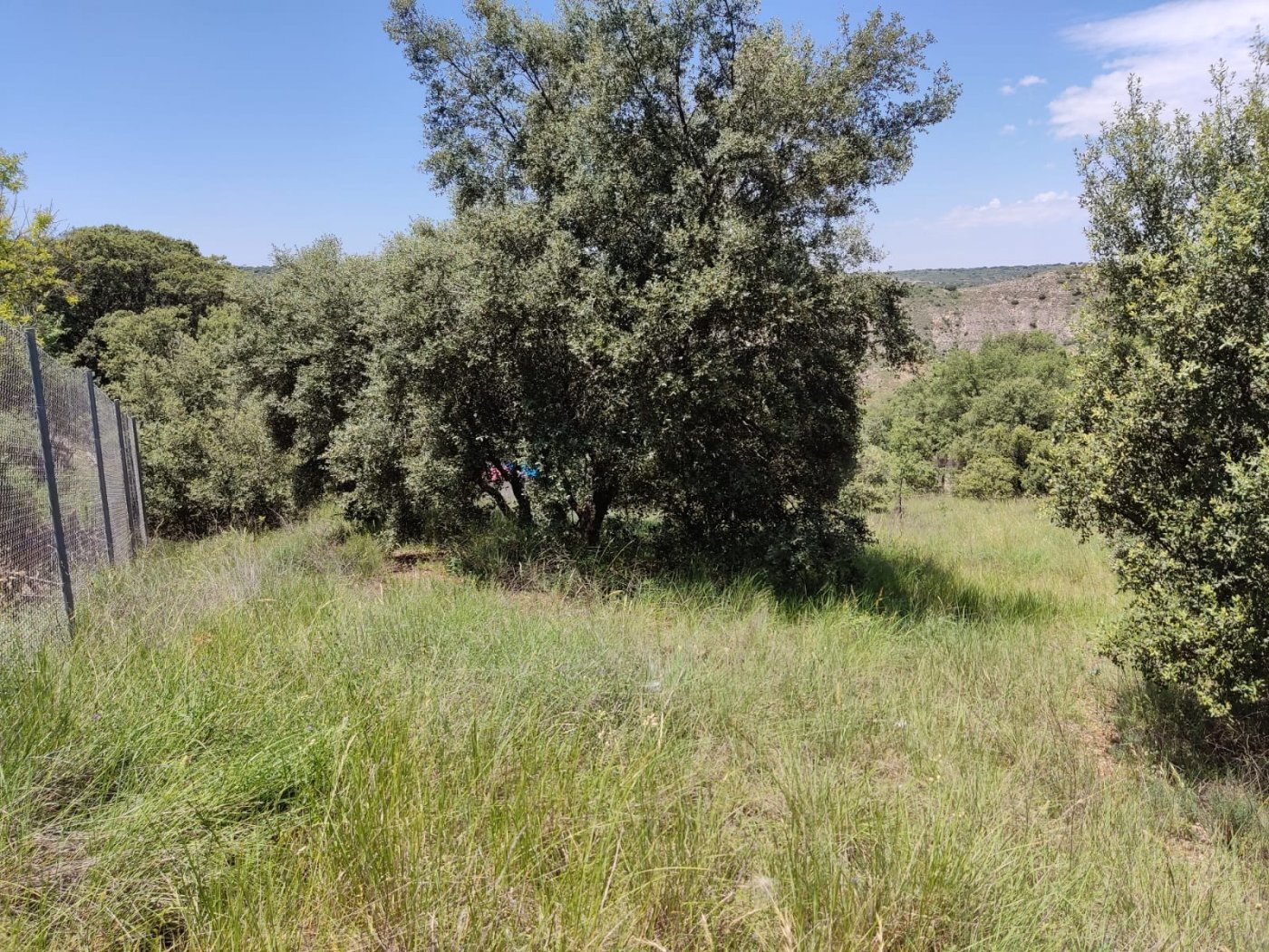Fincas y solares-Venta-Hontoba-1099643-Foto-4