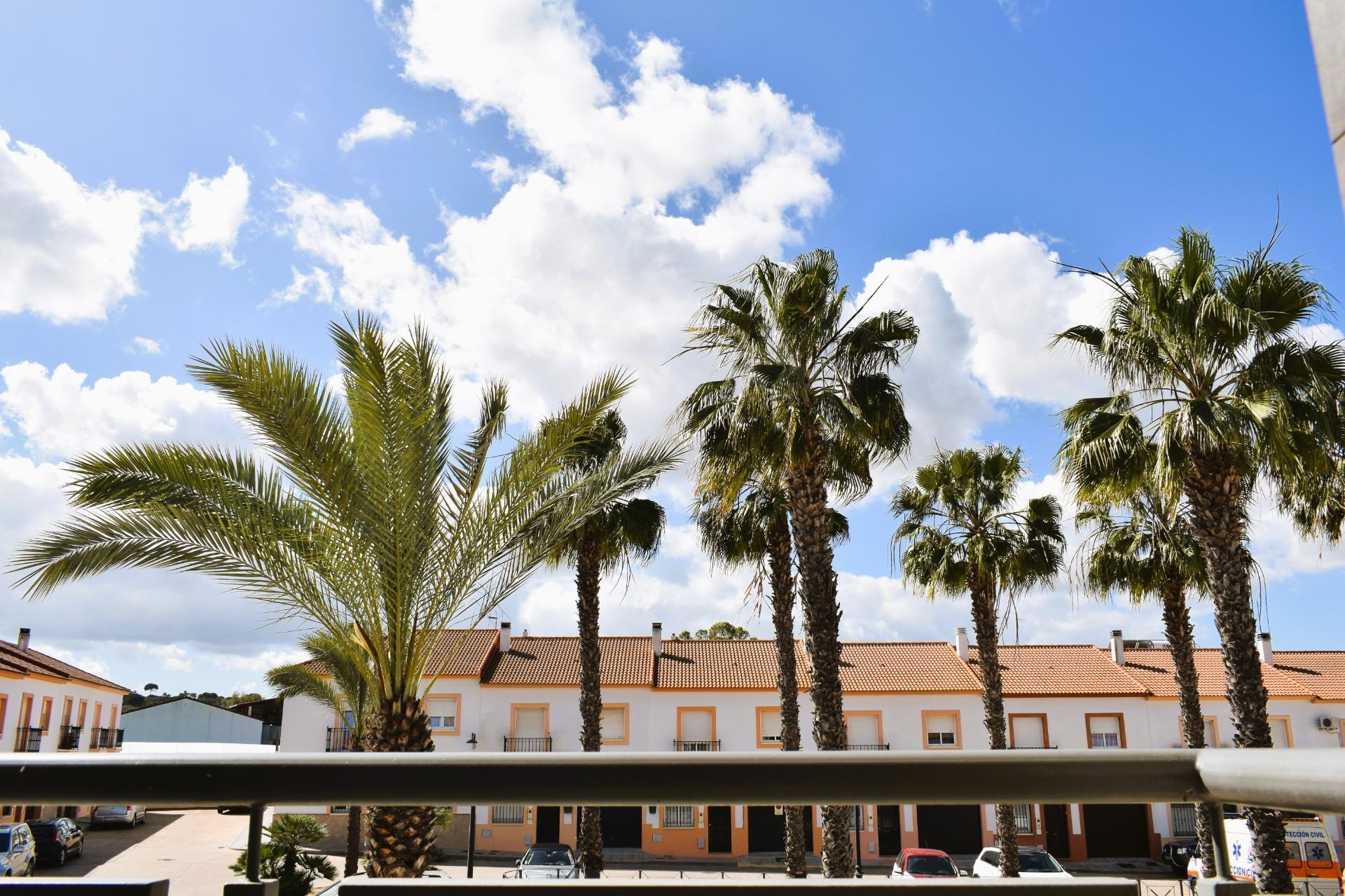 Edificios-Venta-San BartolomÃ© de la Torre-1836470-Foto-69