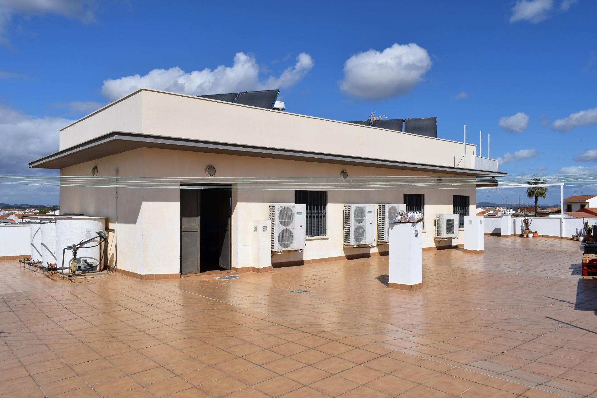 Edificios-Venta-San BartolomÃ© de la Torre-1836470-Foto-85