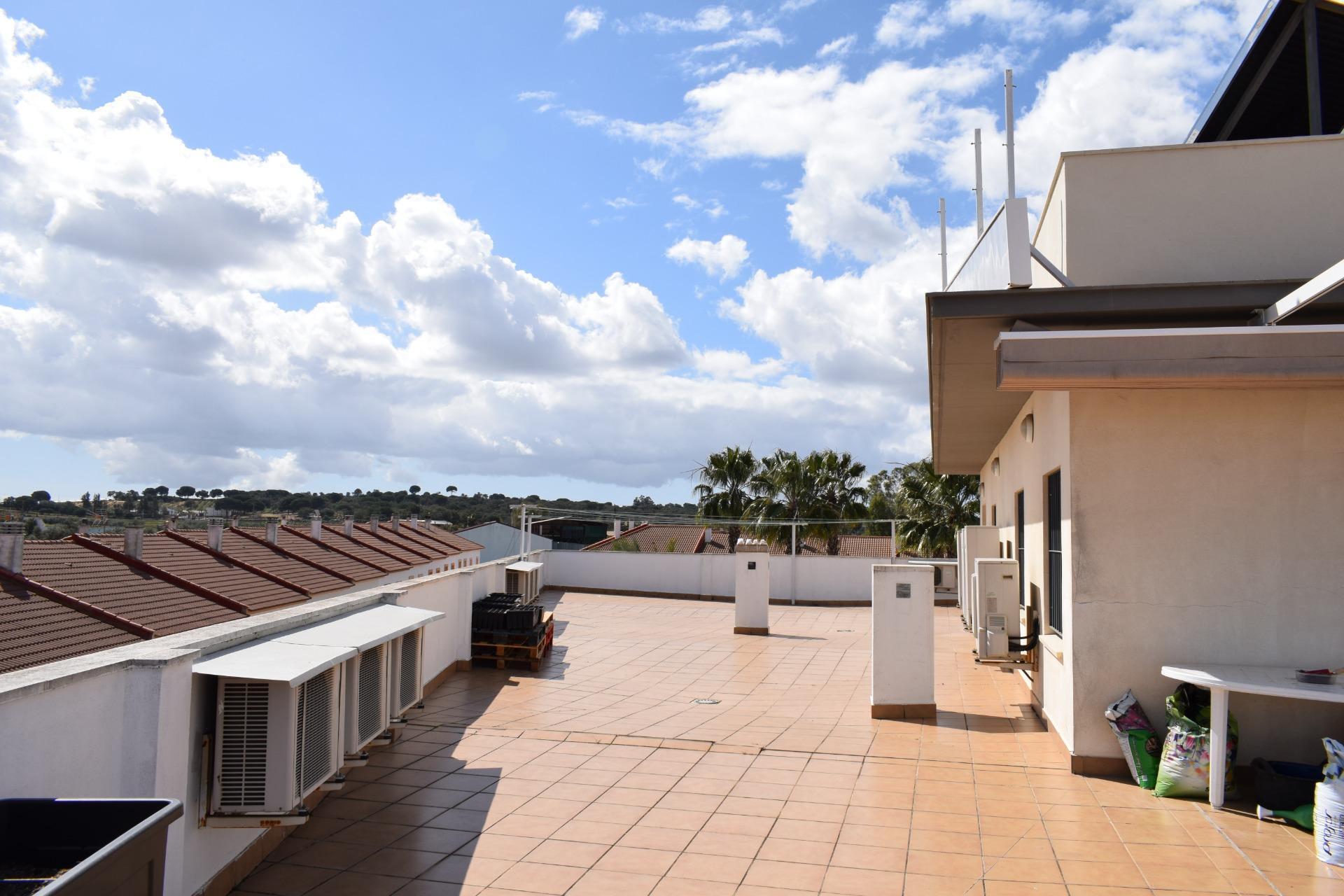 Edificios-Venta-San BartolomÃ© de la Torre-1836470-Foto-87