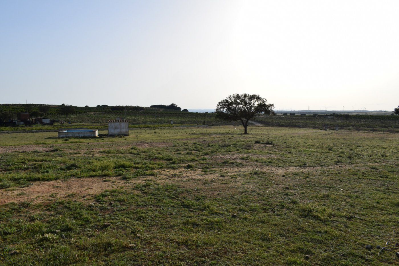 Fincas y solares-Venta-Villablanca-976897