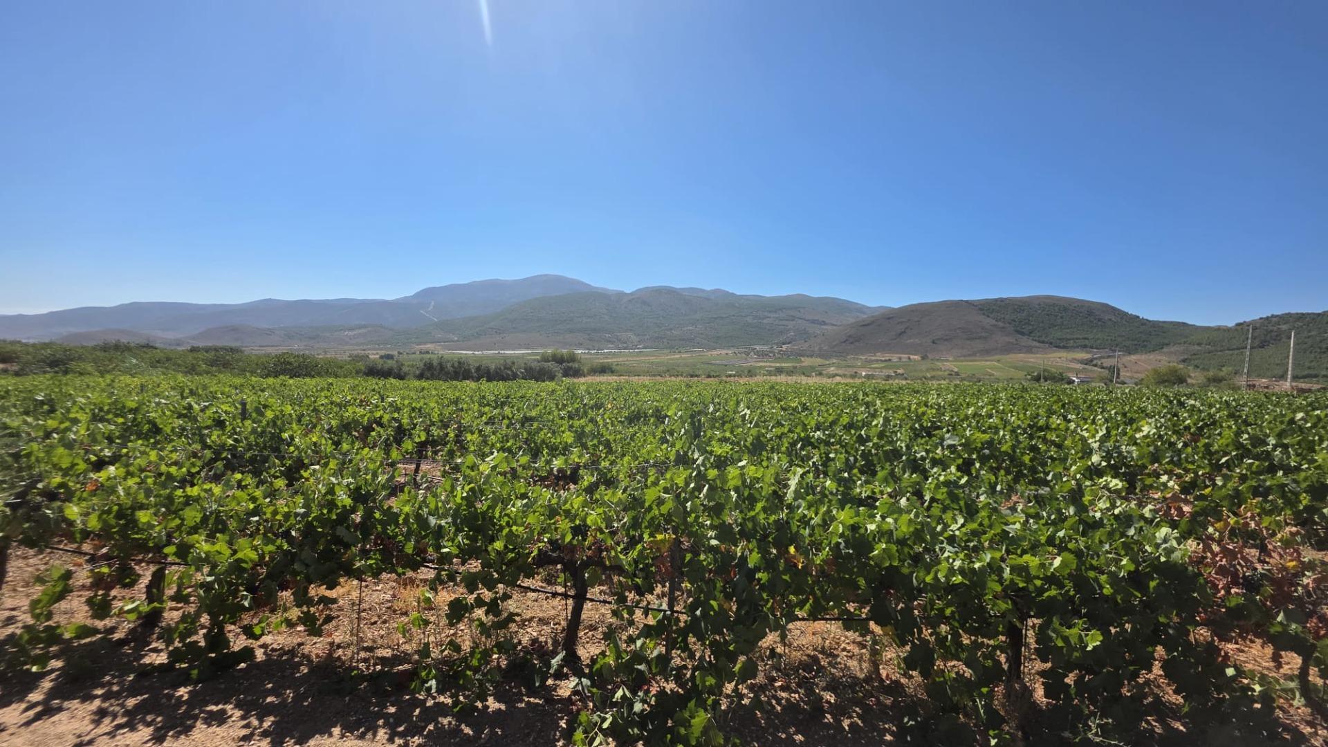 Fincas y solares-Venta-LÃ¡ujar de Andarax-1836491-Foto-3