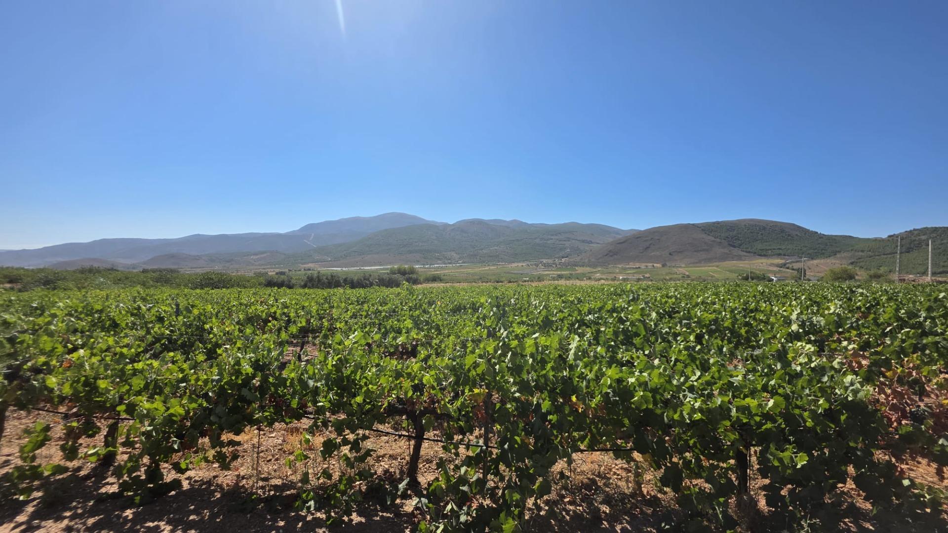 Fincas y solares-Venta-LÃ¡ujar de Andarax-1836491-Foto-4