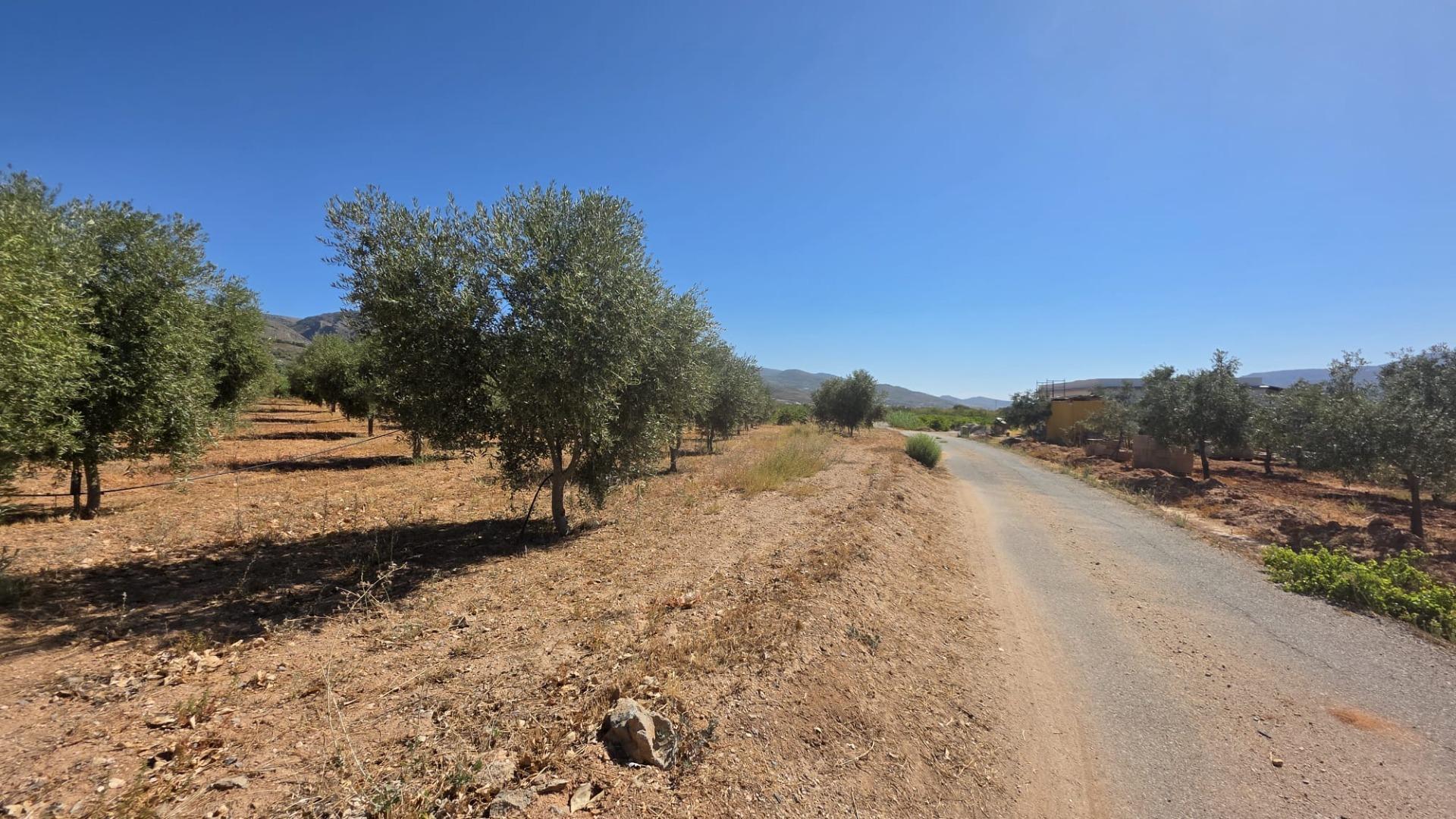 Fincas y solares-Venta-LÃ¡ujar de Andarax-1836491-Foto-20