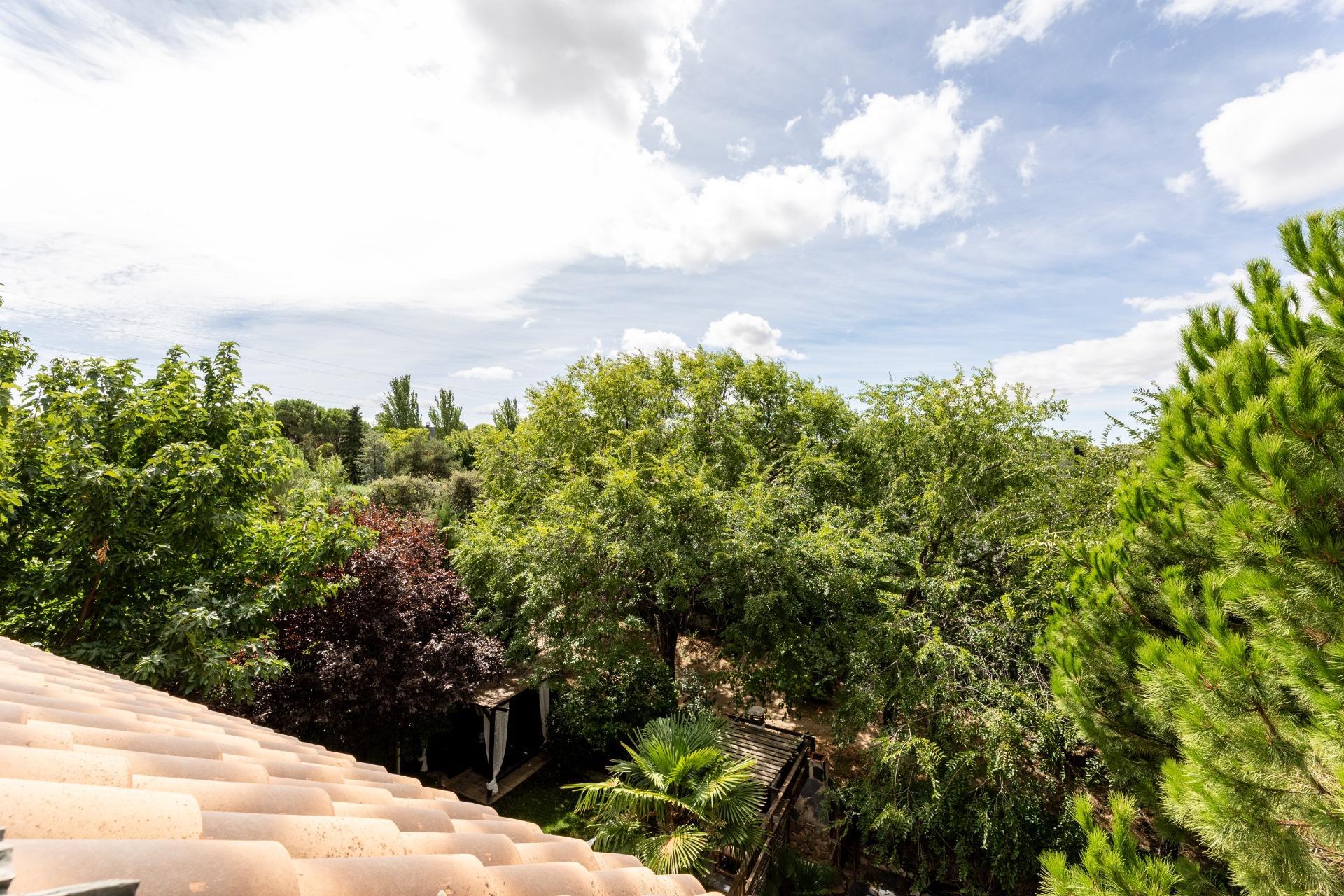 Casas o chalets-Venta-Villaviciosa de OdÃ³n-1836500-Foto-31
