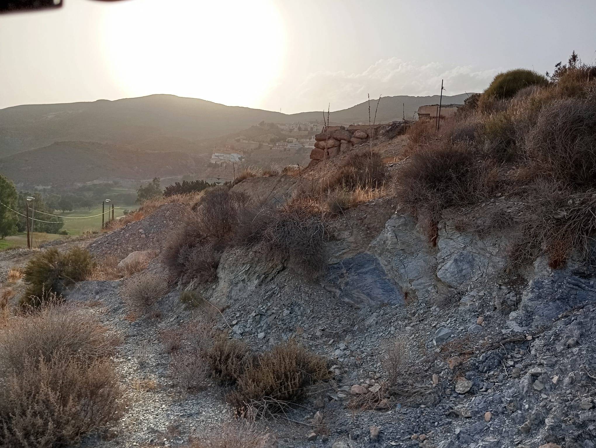 Fincas y solares-Venta-VÃ­car-1836821-Foto-14