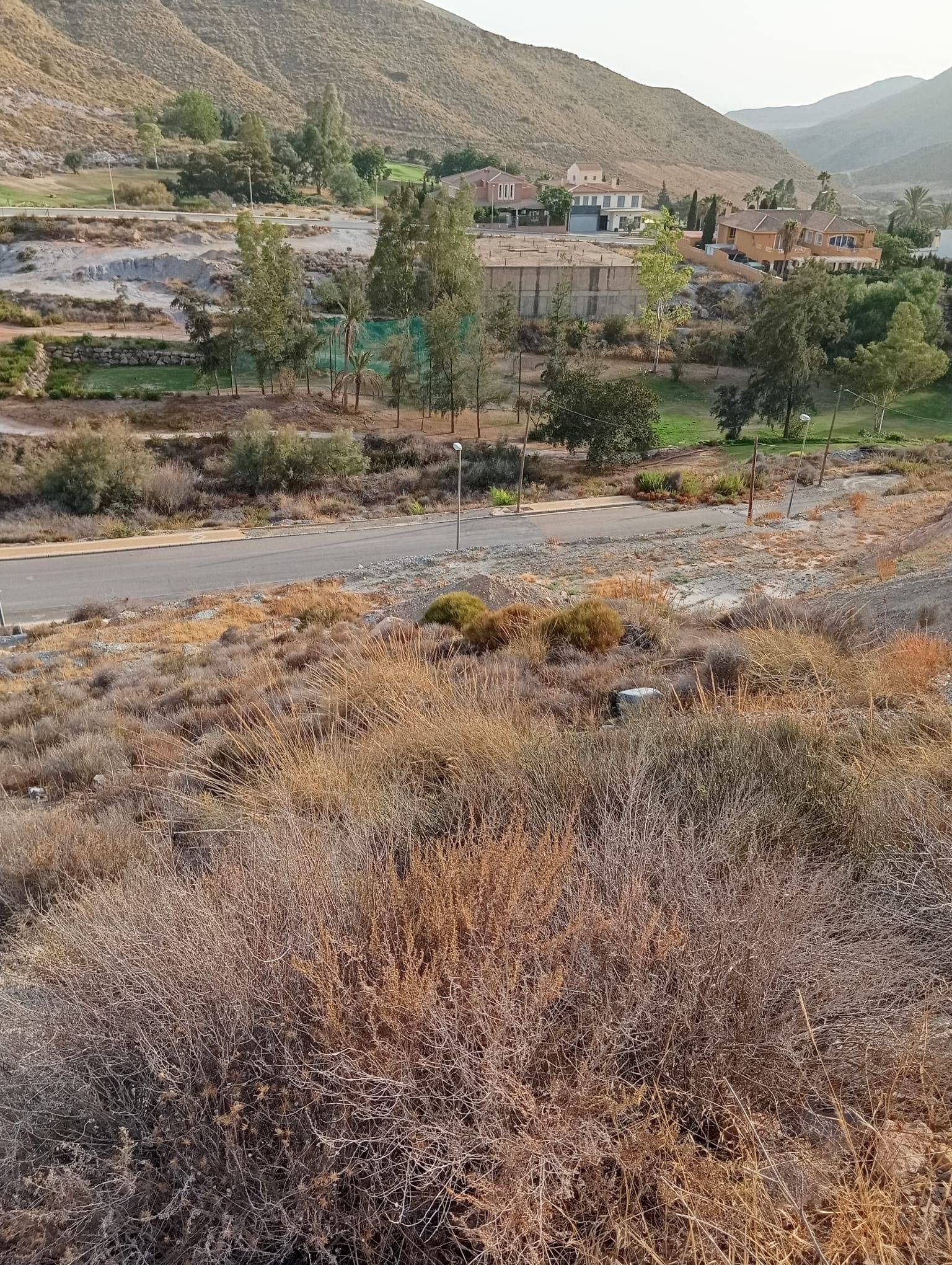 Fincas y solares-Venta-VÃ­car-1836821-Foto-20