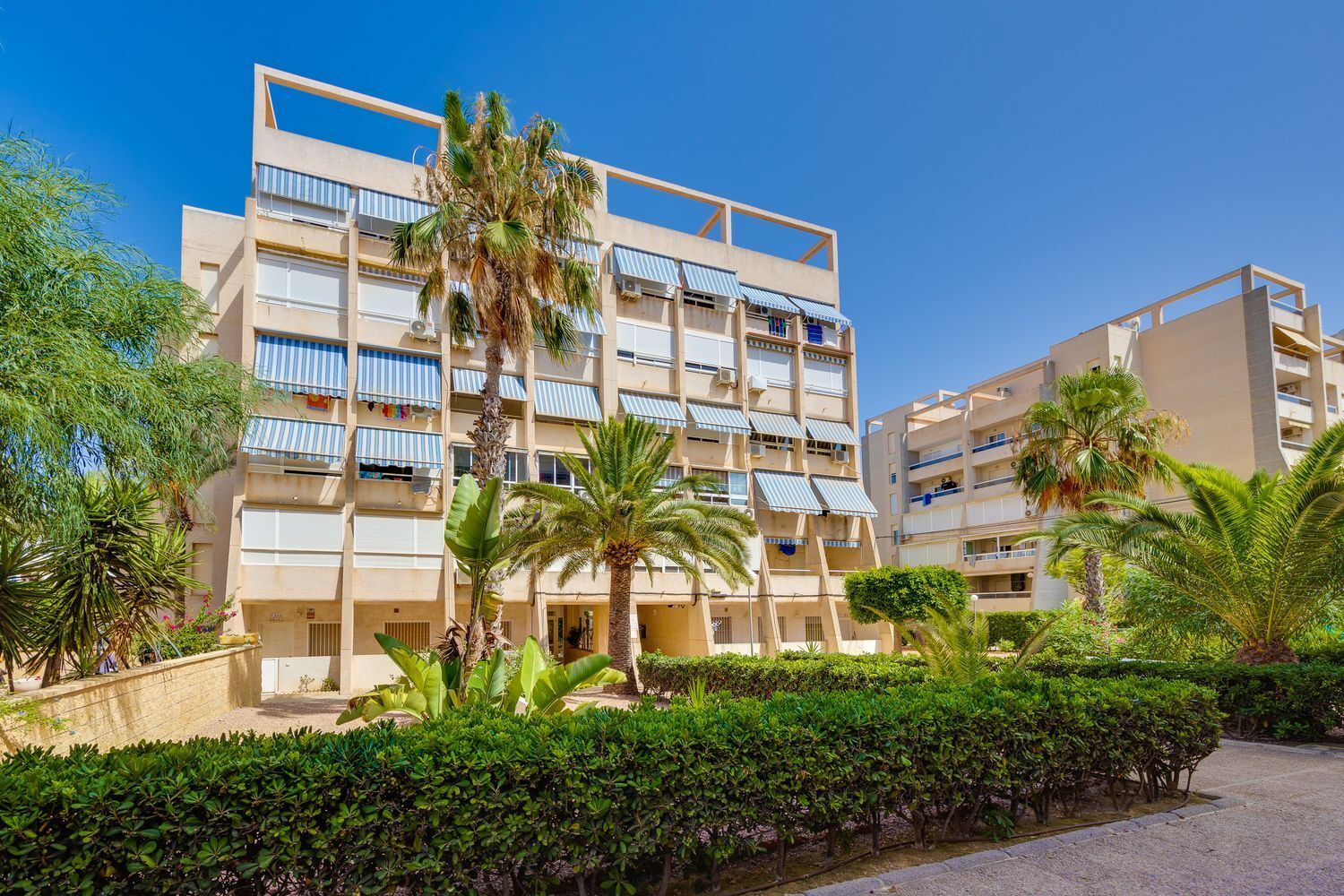 Pisos-Venta-Torrevieja-1792529-Foto-36
