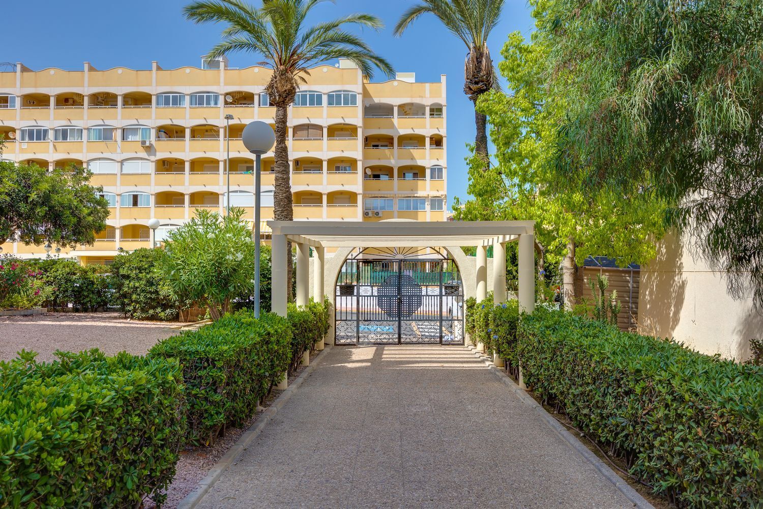 Pisos-Venta-Torrevieja-1792529-Foto-37
