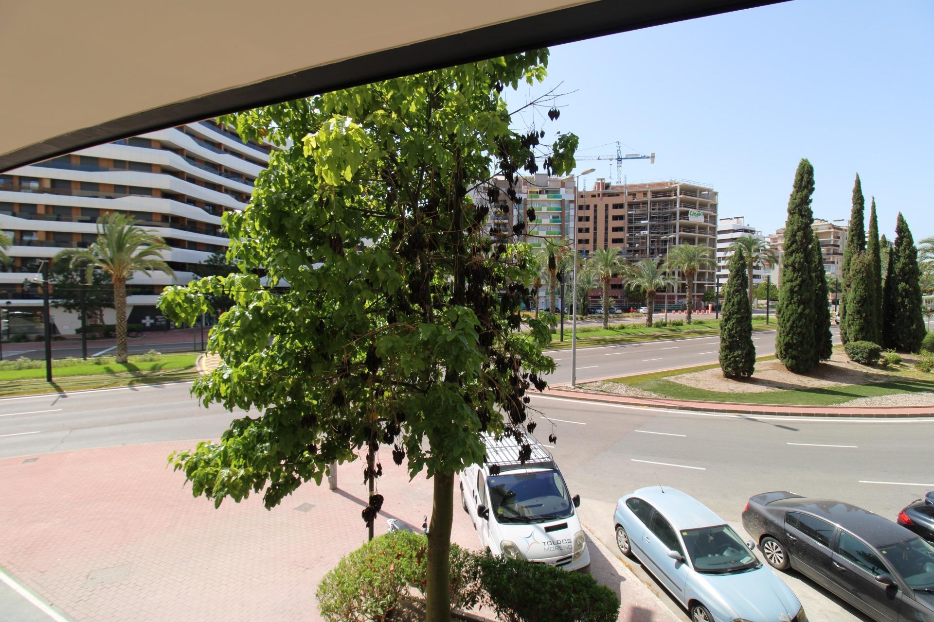 Pisos-Alquiler-Murcia-1090114-Foto-66