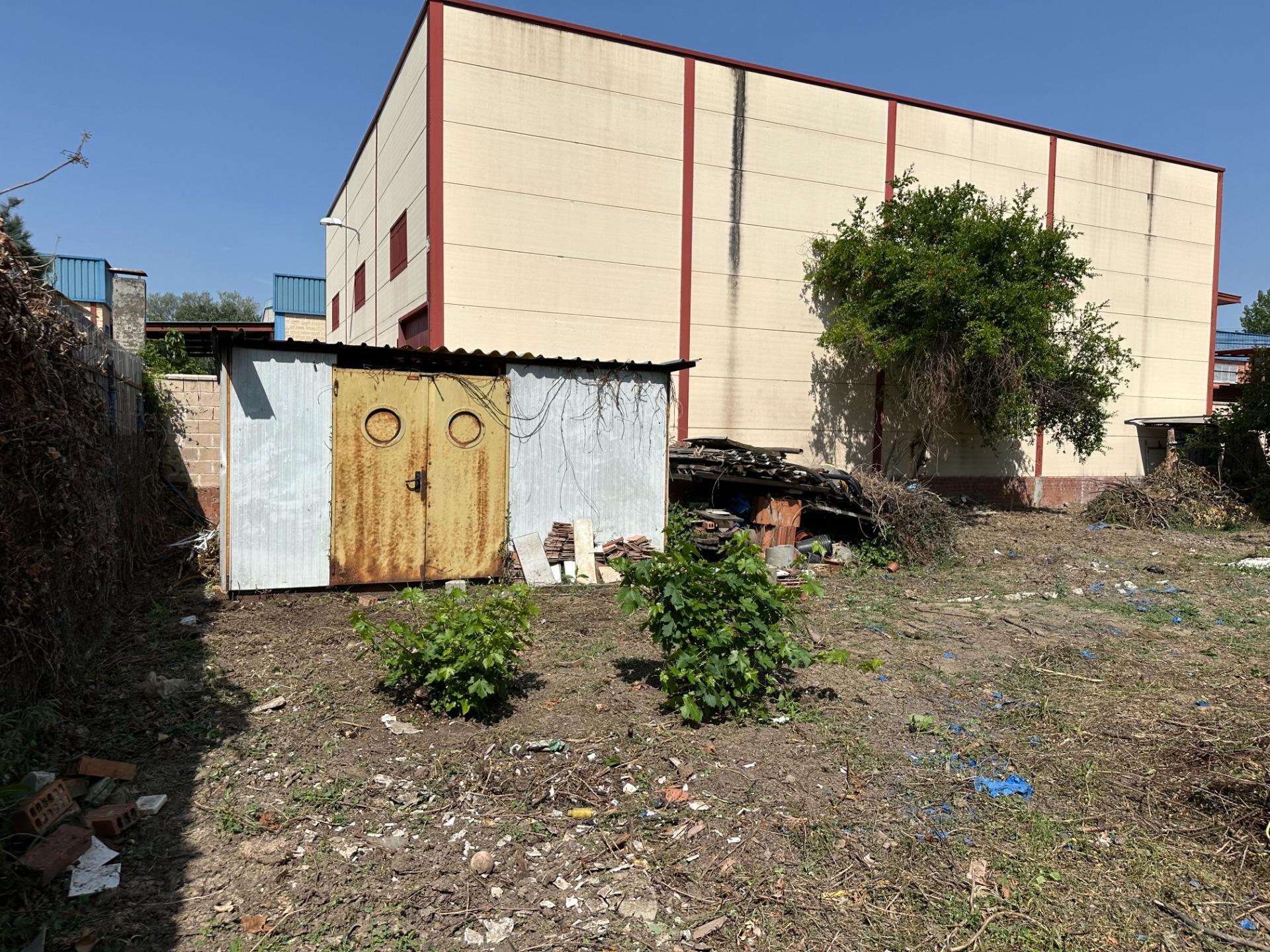Fincas y solares-Venta-Paracuellos de Jarama-1745169-Foto-9