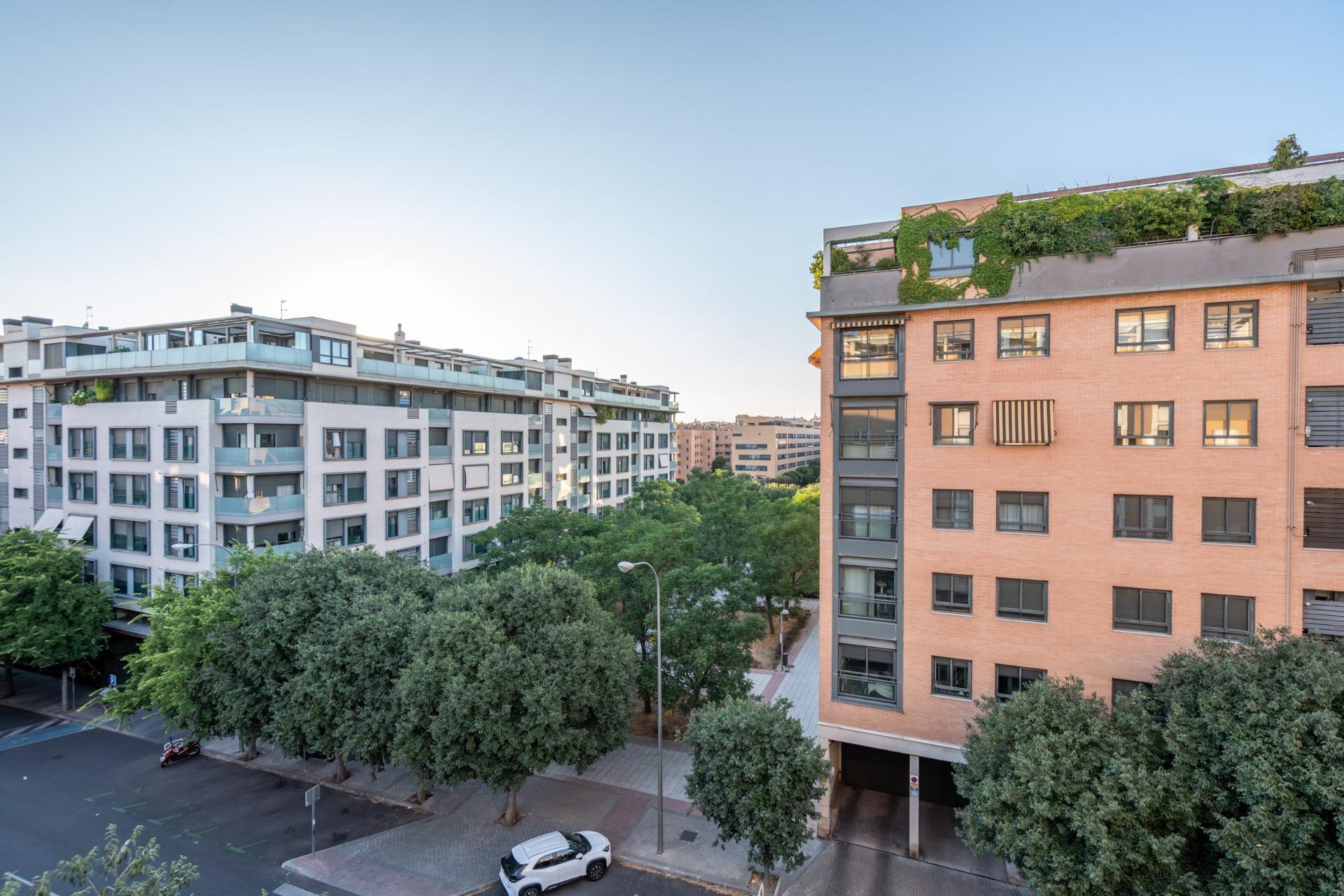 Pisos-Venta-Madrid-1833094