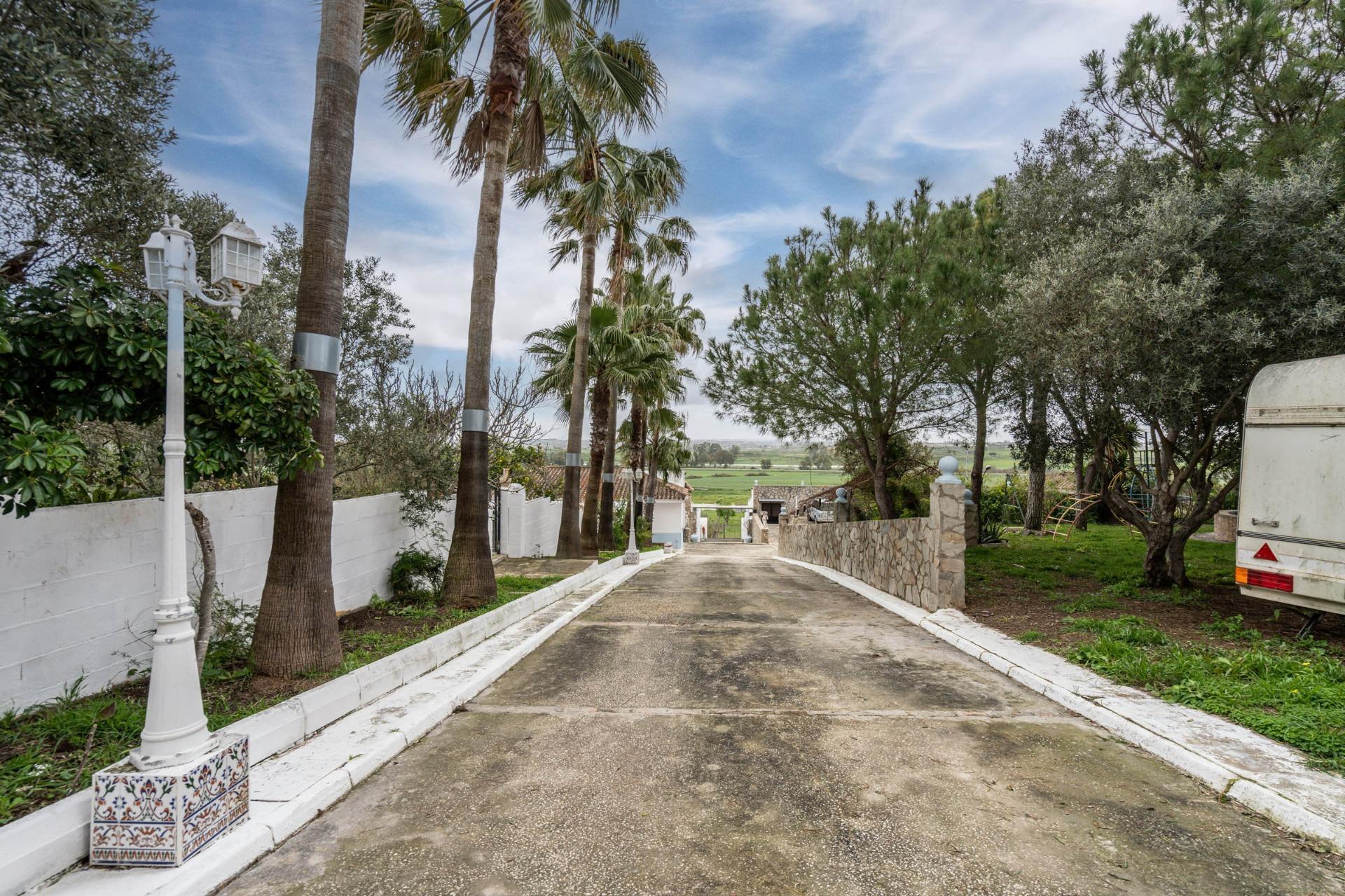 Casas o chalets-Venta-Chiclana de la Frontera-1684801-Foto-84