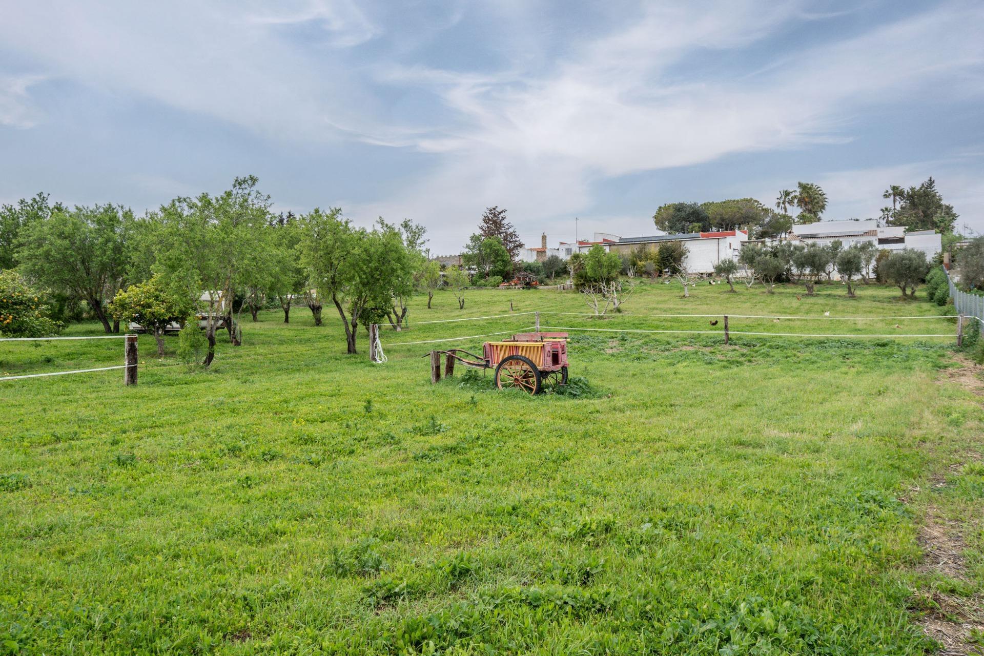 Casas o chalets-Venta-Chiclana de la Frontera-1684801-Foto-93