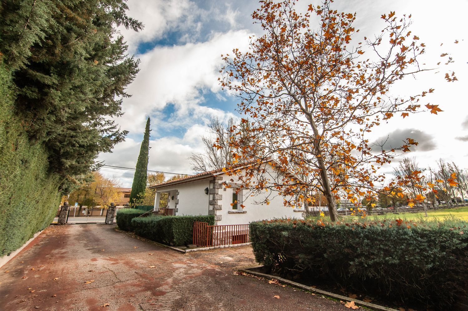 Pisos-Venta-Guadarrama-1021045-Foto-48