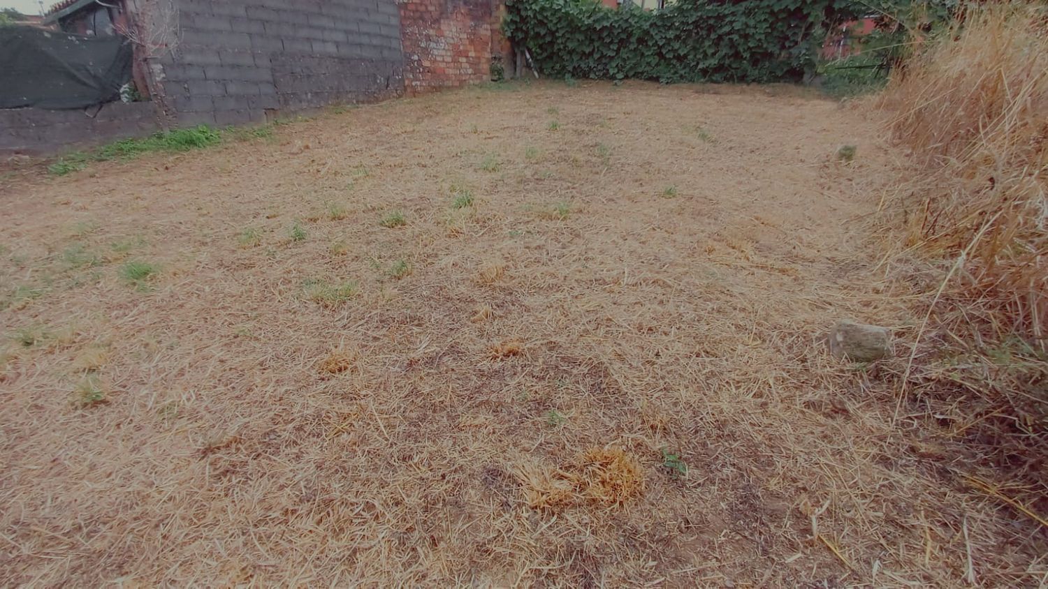Fincas y solares-Venta-Vigo-1838187