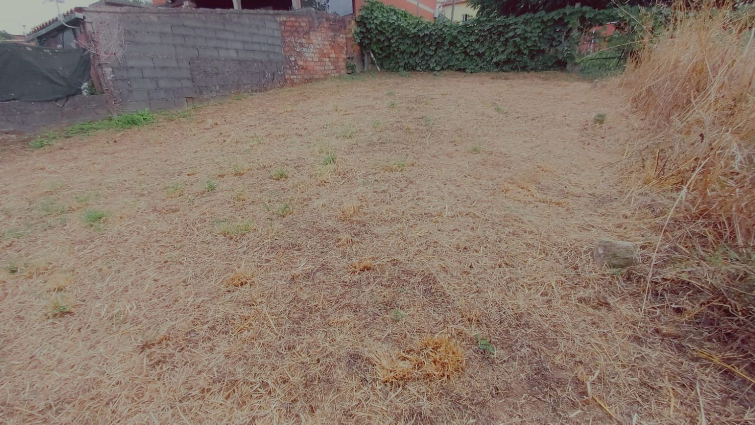 Fincas y solares-Venta-Vigo-1838187-Foto-3