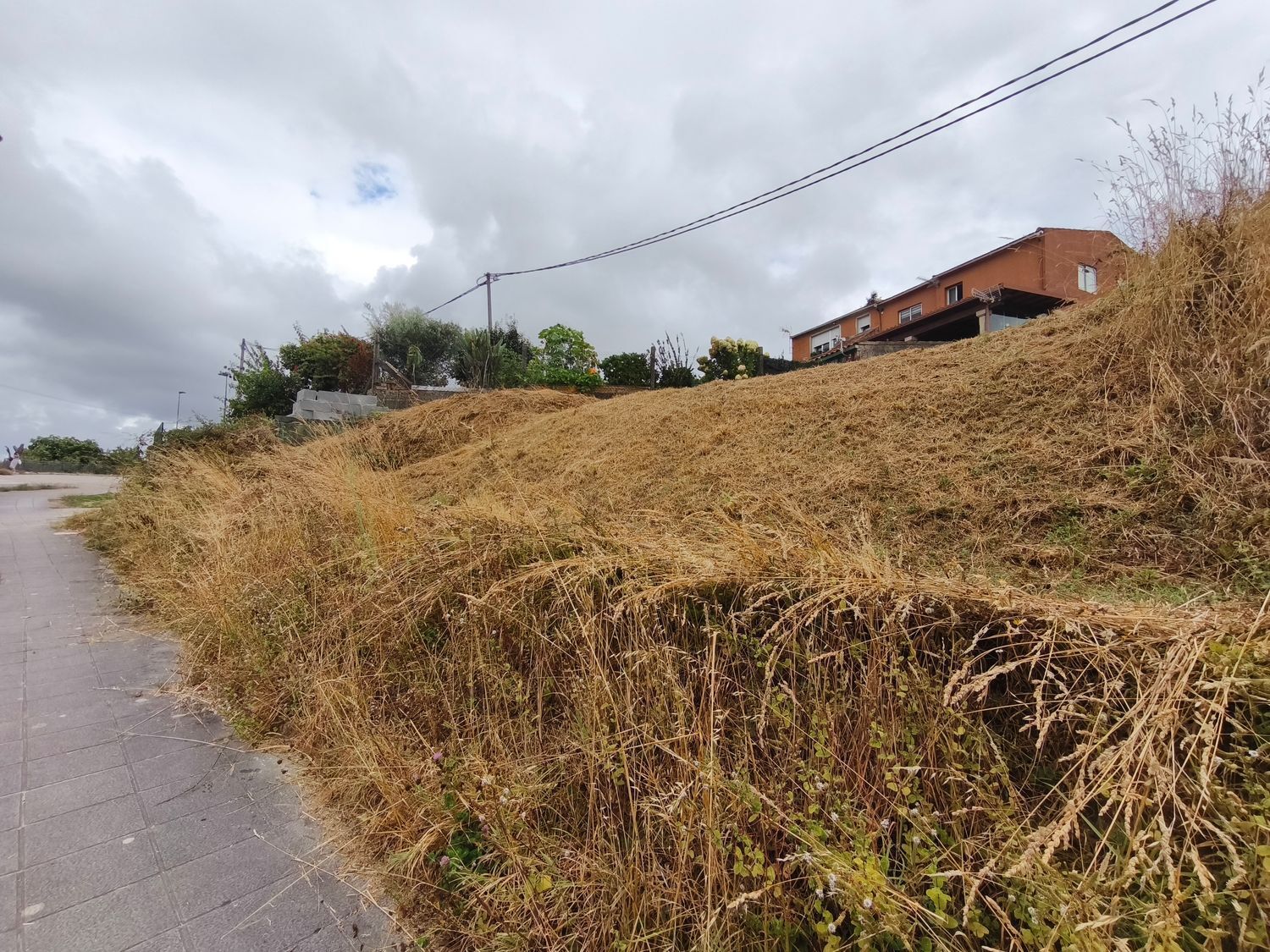 Fincas y solares-Venta-Vigo-1838187-Foto-10