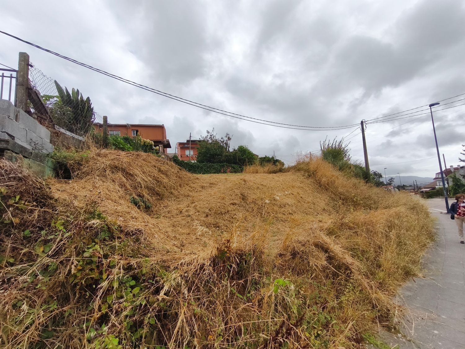 Fincas y solares-Venta-Vigo-1838187-Foto-8