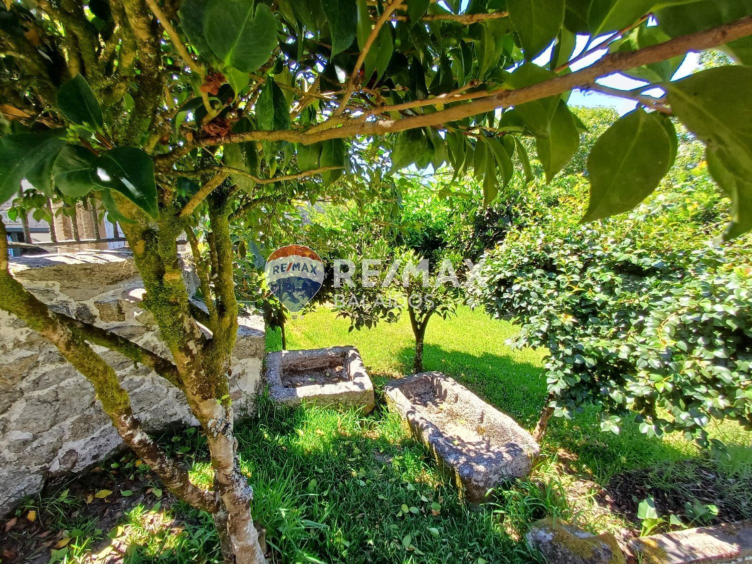 Casas o chalets-Venta-Covelo-1396241-Foto-66