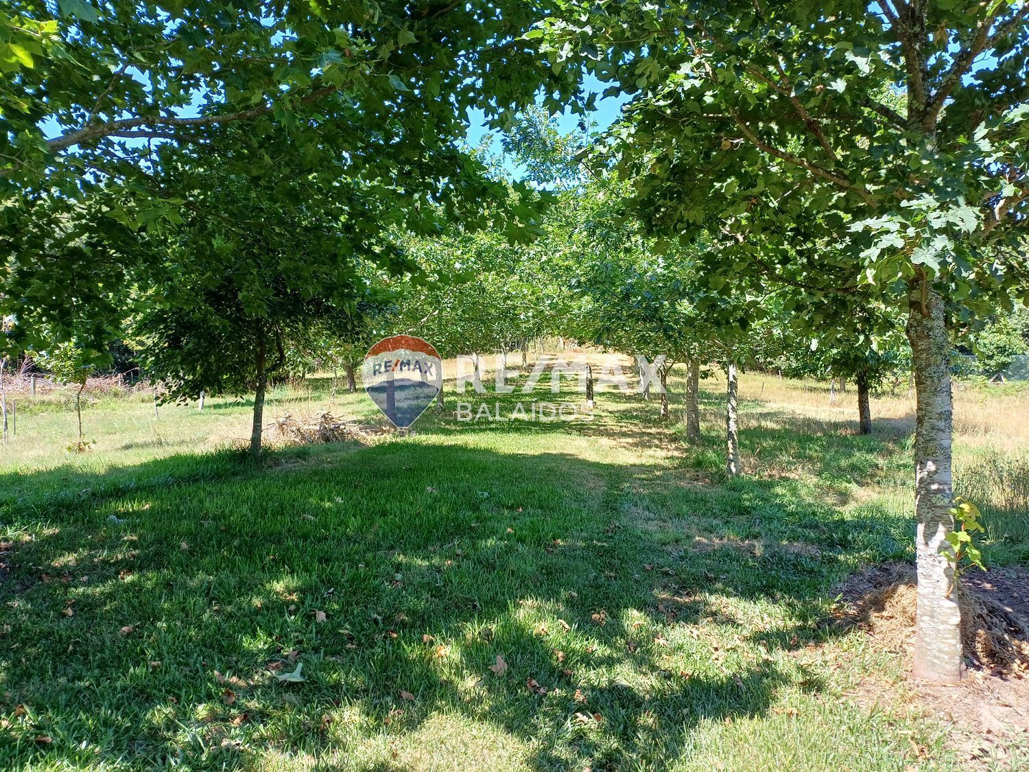 Casas o chalets-Venta-Covelo-1396241-Foto-78