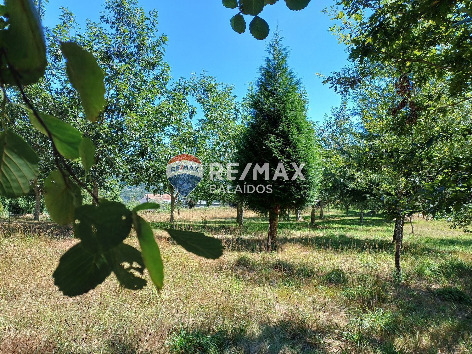 Casas o chalets-Venta-Covelo-1396241-Foto-75