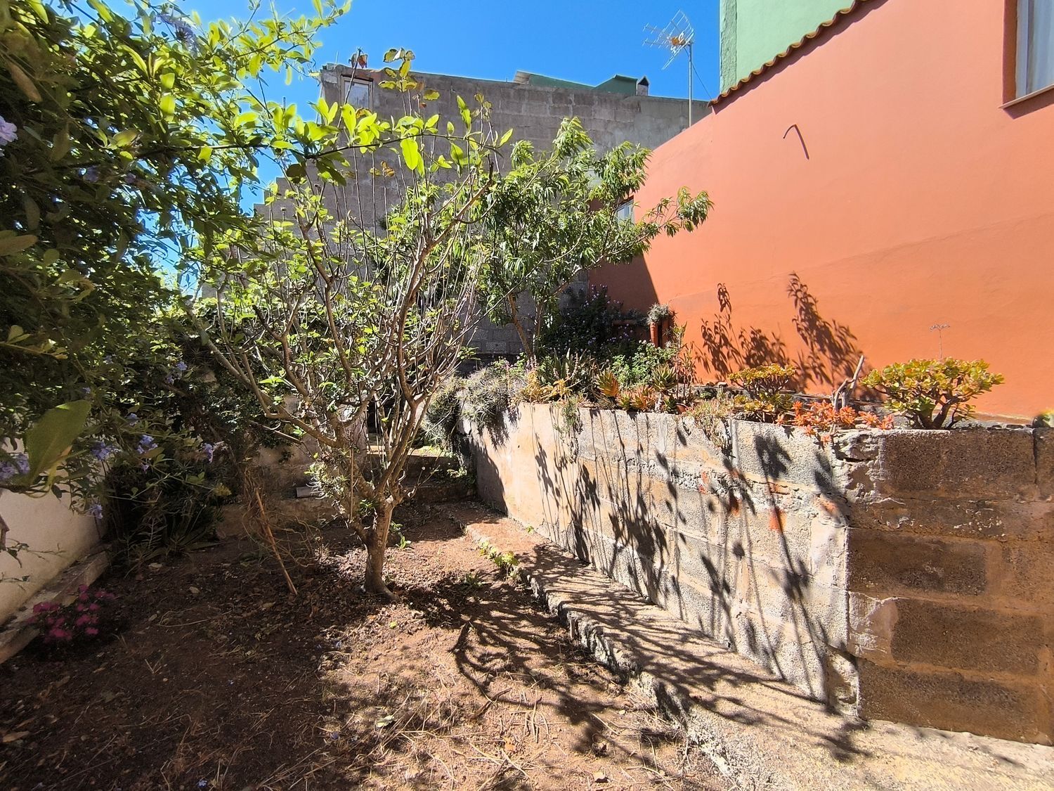 Pisos-Venta-Firgas-1837273-Foto-2