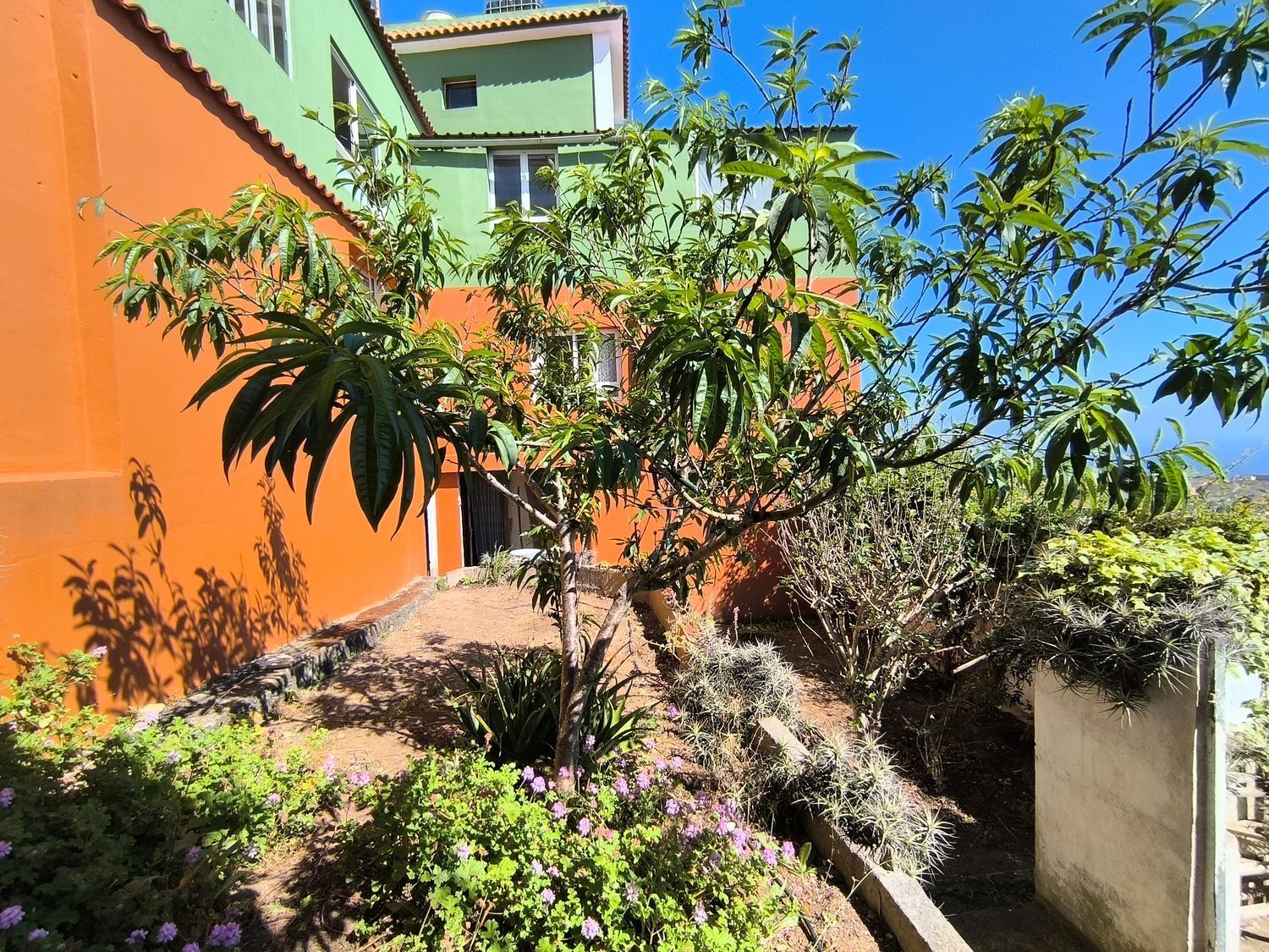 Pisos-Venta-Firgas-1837273-Foto-3