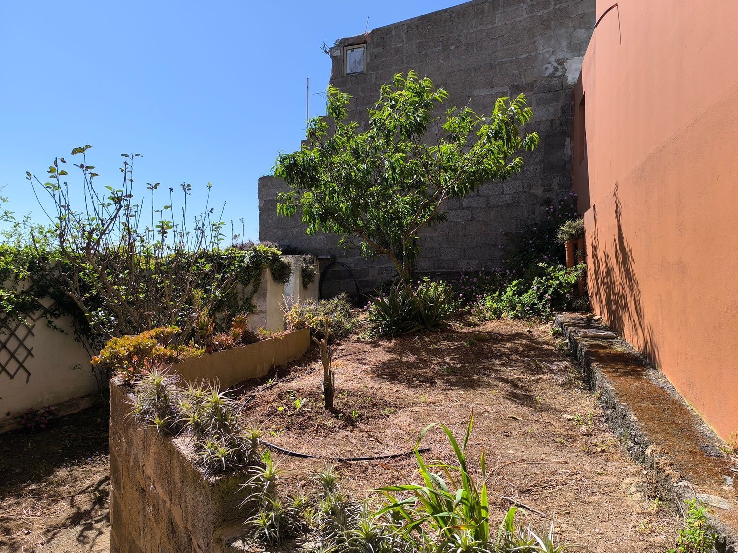 Pisos-Venta-Firgas-1837273-Foto-39