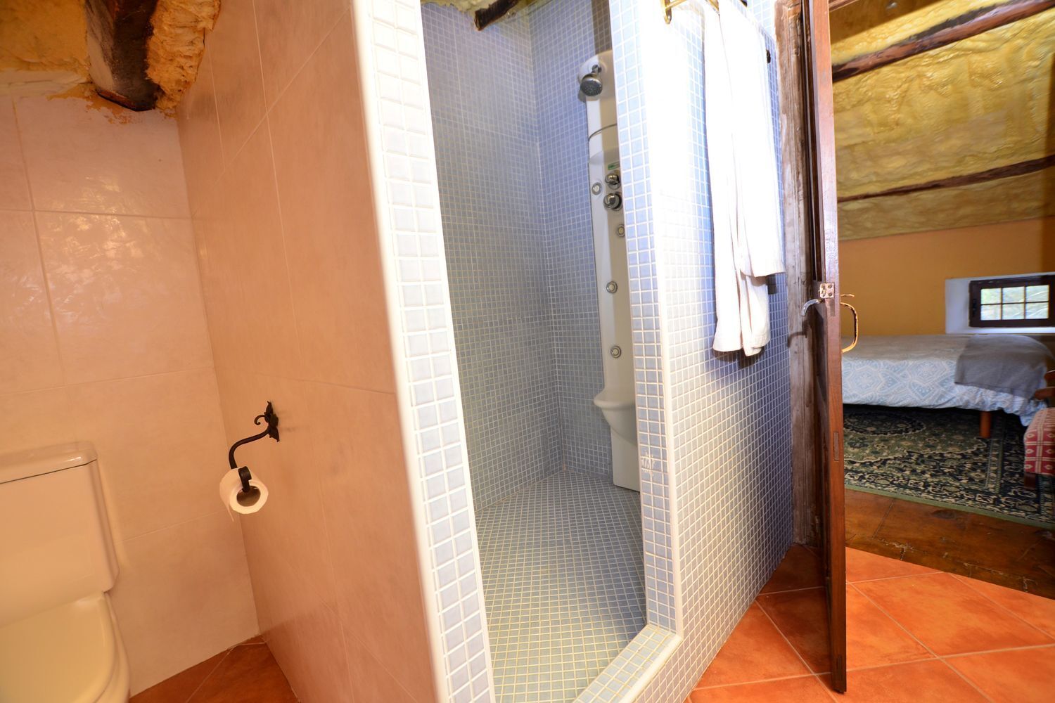 Casas o chalets-Venta-CoaÃ±a-1710258-Foto-36