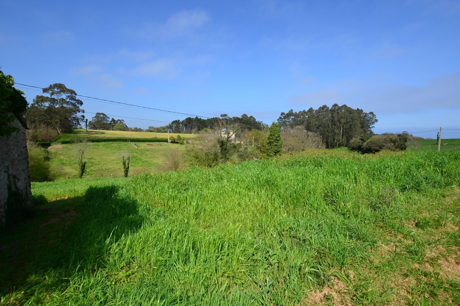 Casas o chalets-Venta-CoaÃ±a-1710258-Foto-63