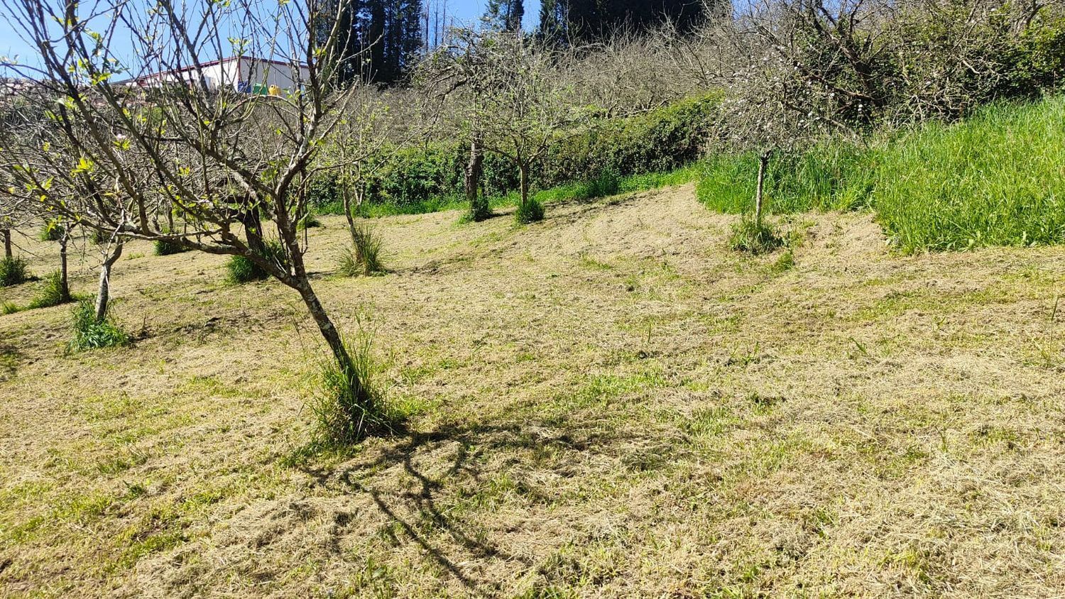 Fincas y solares-Venta-GijÃ³n-1720275-Foto-7