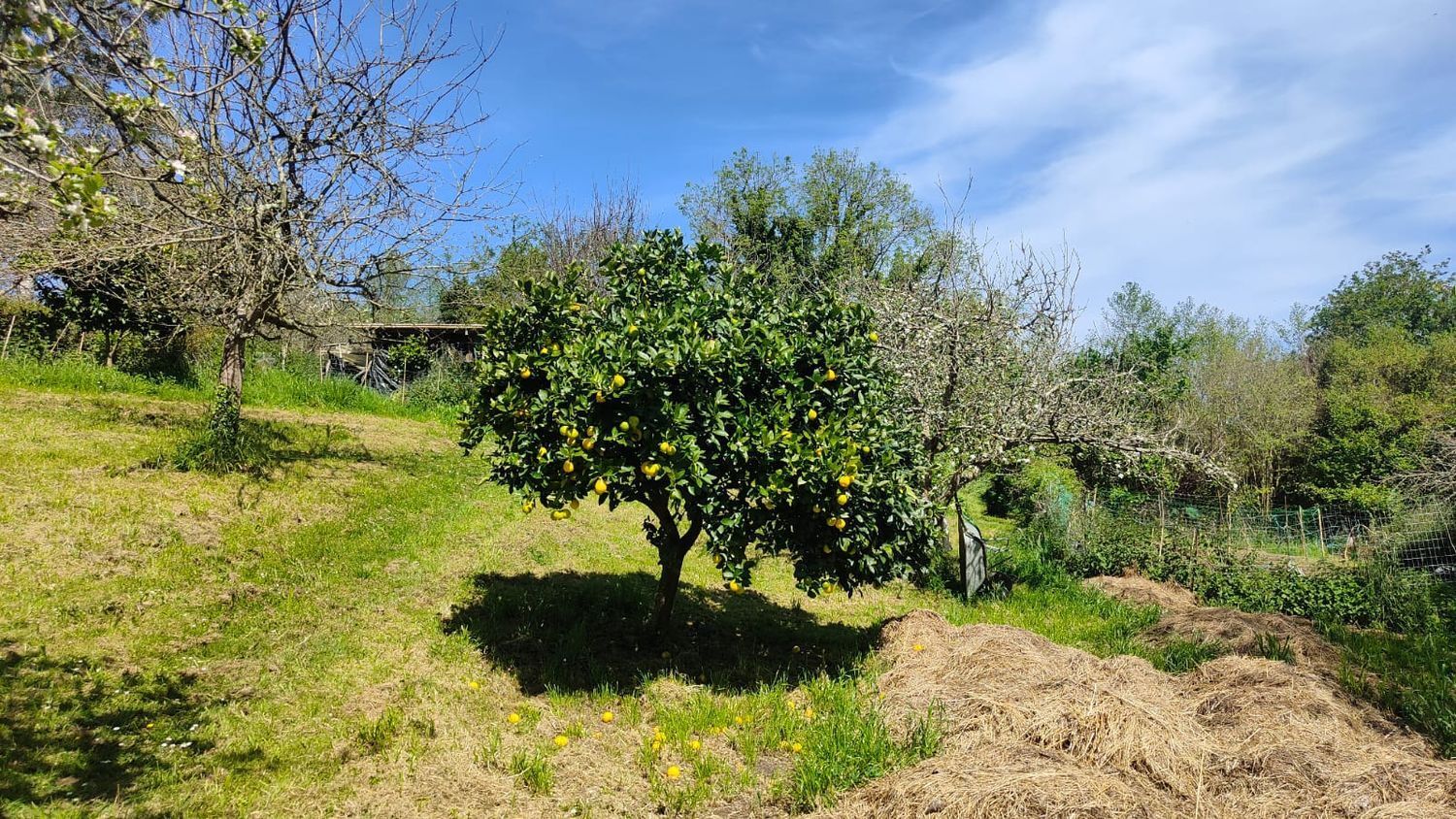 Fincas y solares-Venta-GijÃ³n-1720275-Foto-14