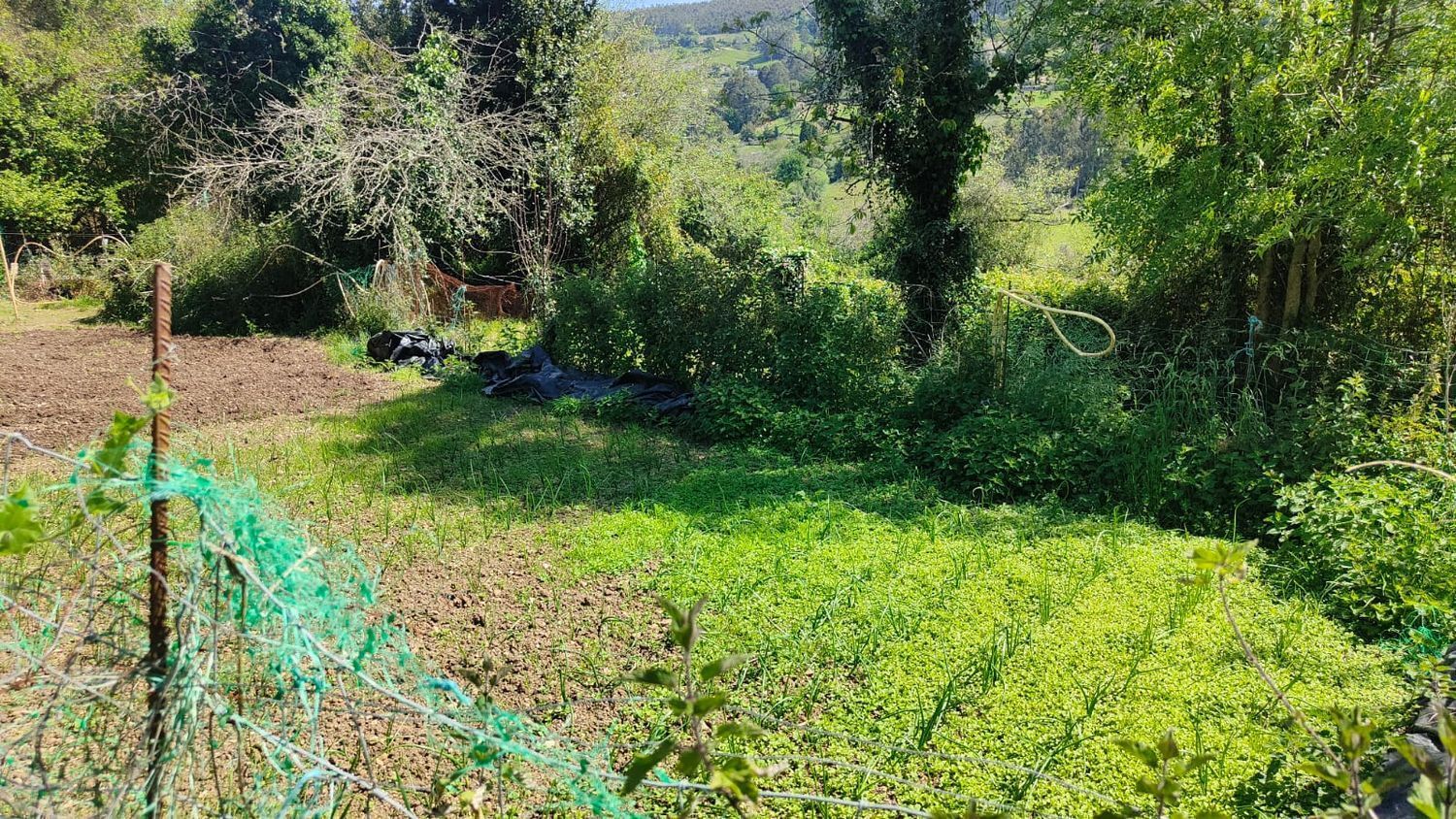 Fincas y solares-Venta-GijÃ³n-1720275-Foto-18