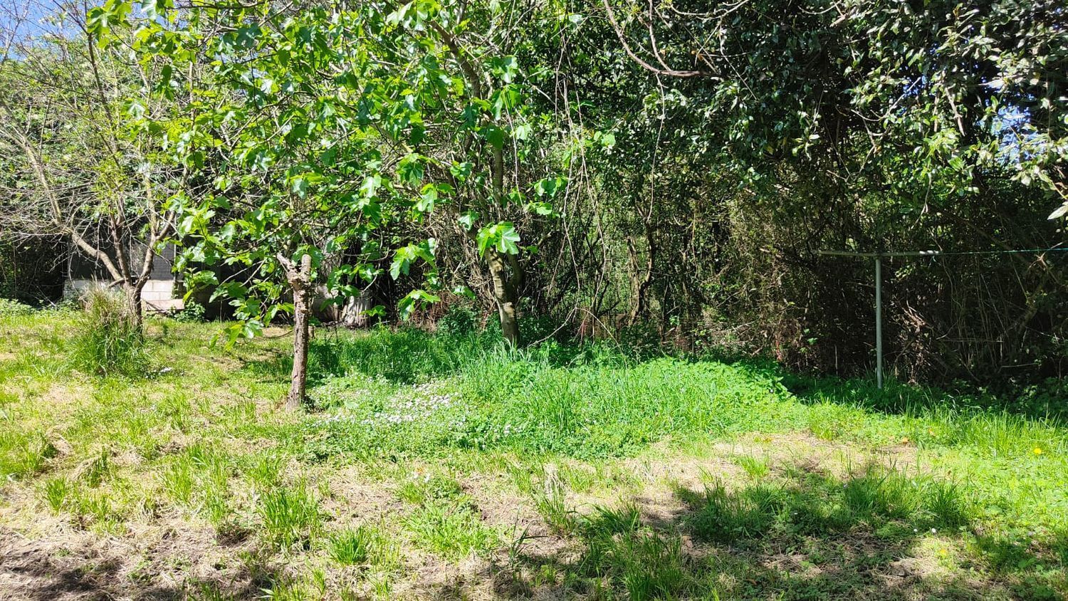 Fincas y solares-Venta-GijÃ³n-1720275-Foto-29