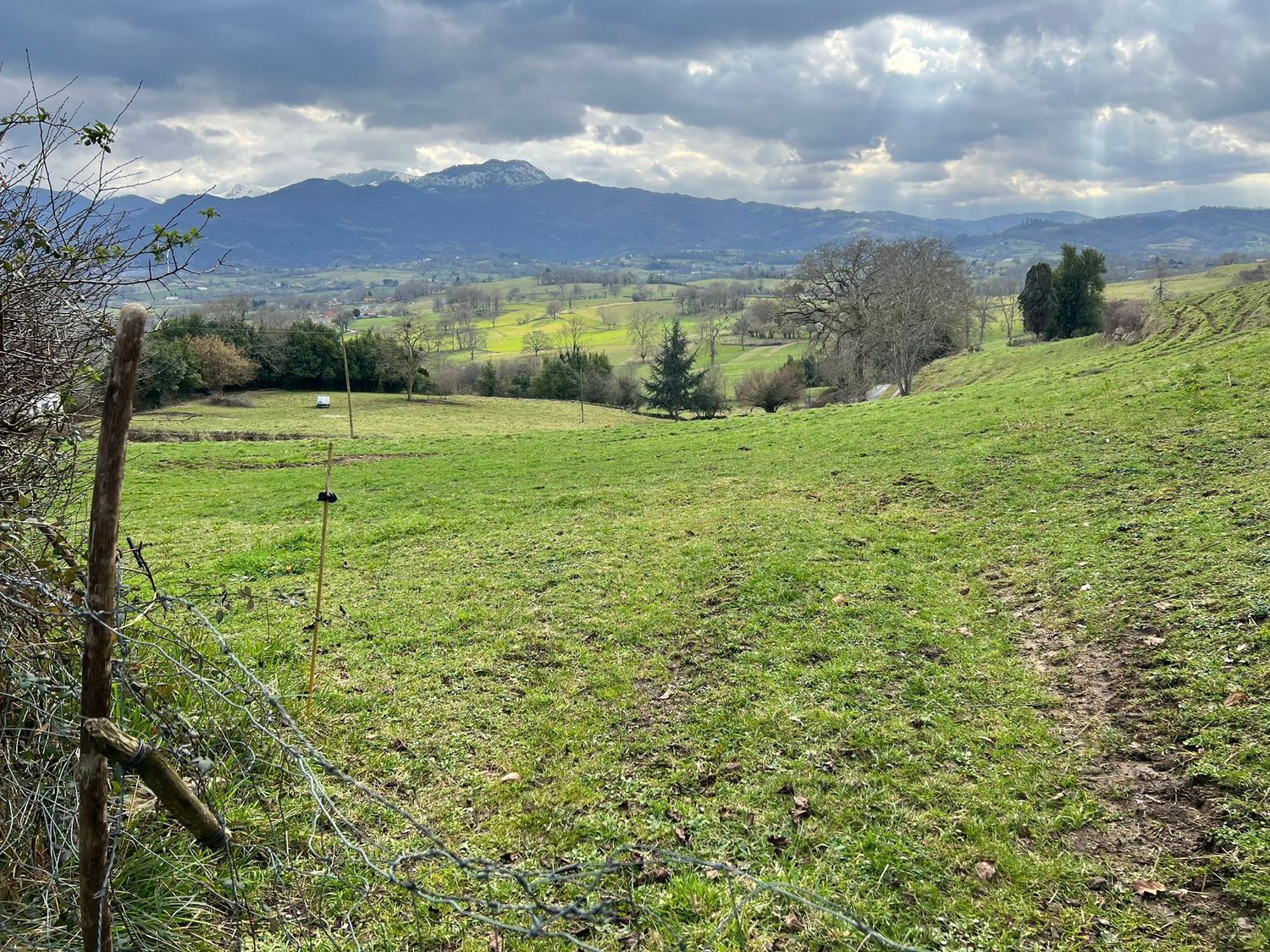 Fincas y solares-Venta-Las Navas del Marqués-1089932