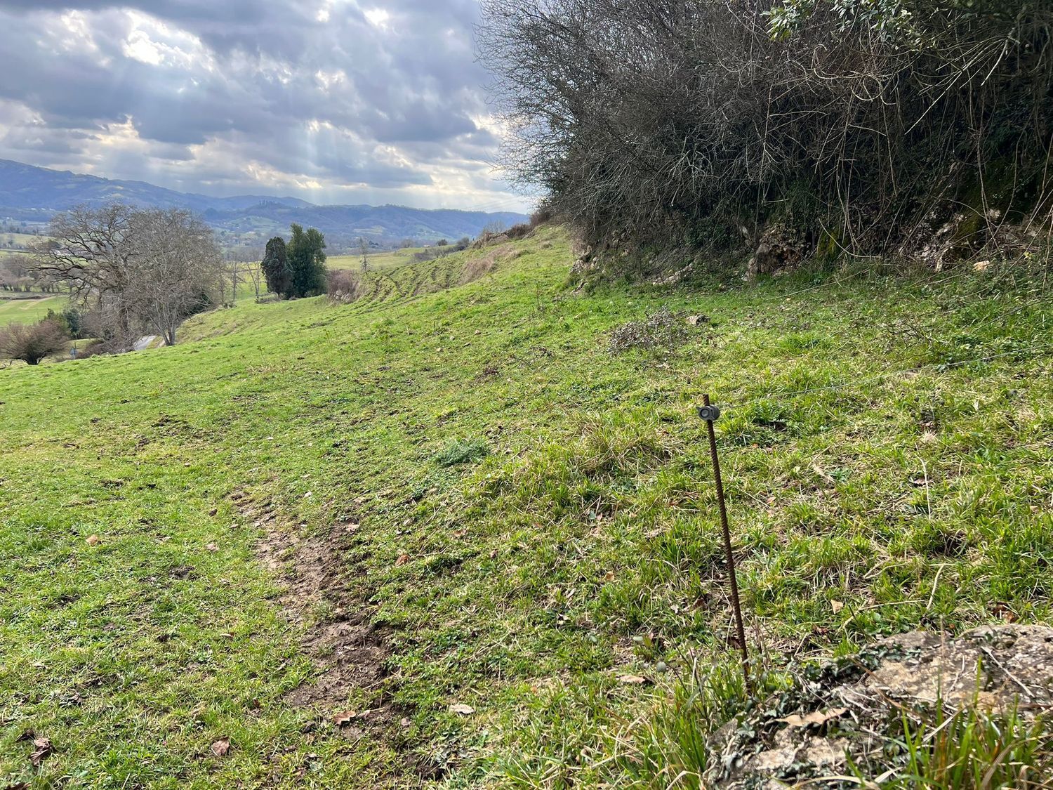 Fincas y solares-Venta-Las Navas del MarquÃ©s-1089932-Foto-3