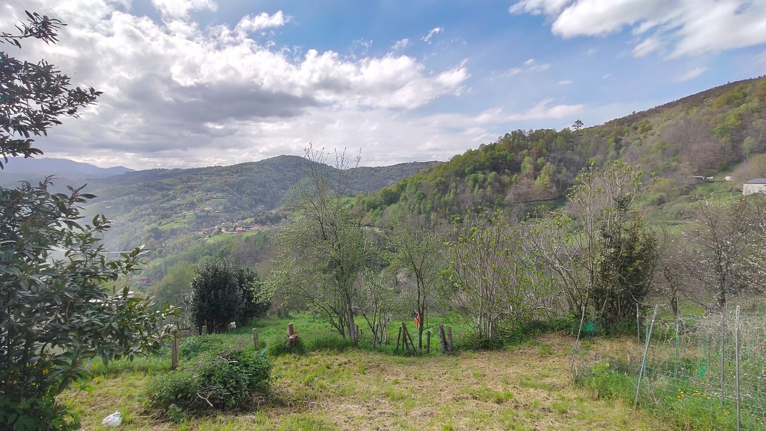 Casas o chalets-Venta-San MartÃ­n del Rey Aurelio-1886834-Foto-20