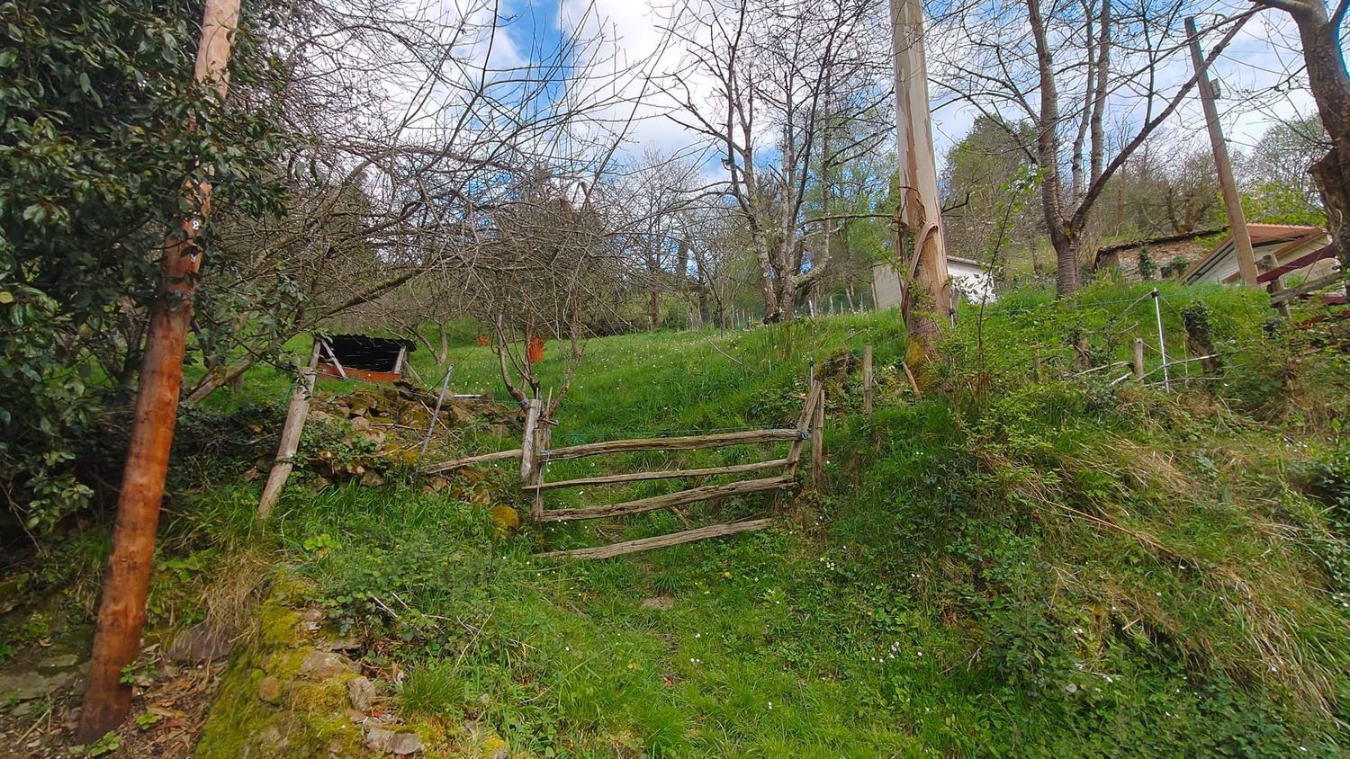 Casas o chalets-Venta-San MartÃ­n del Rey Aurelio-1886834-Foto-23