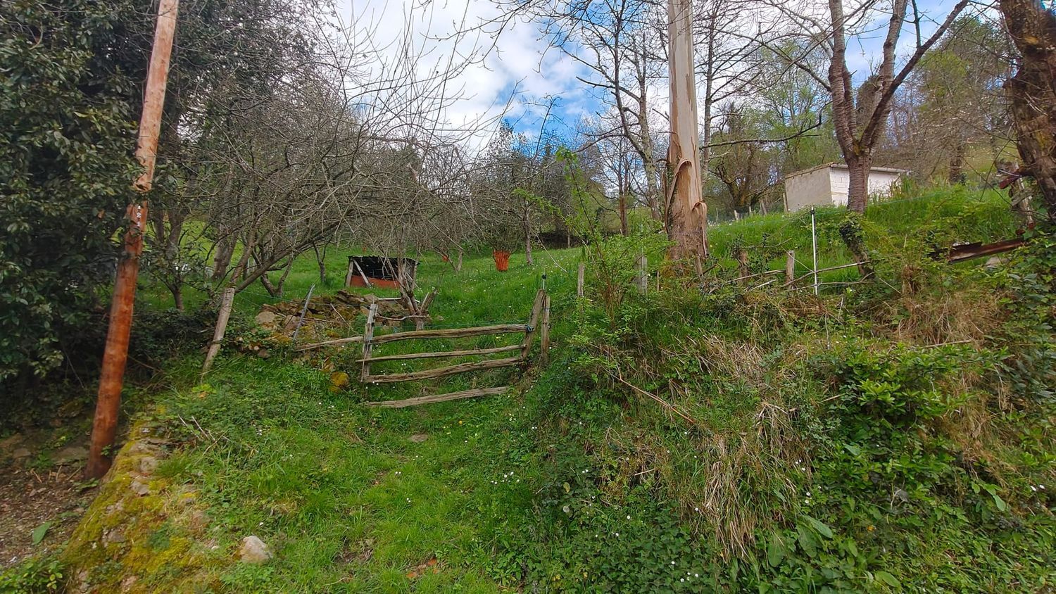 Casas o chalets-Venta-San MartÃ­n del Rey Aurelio-1886834-Foto-24