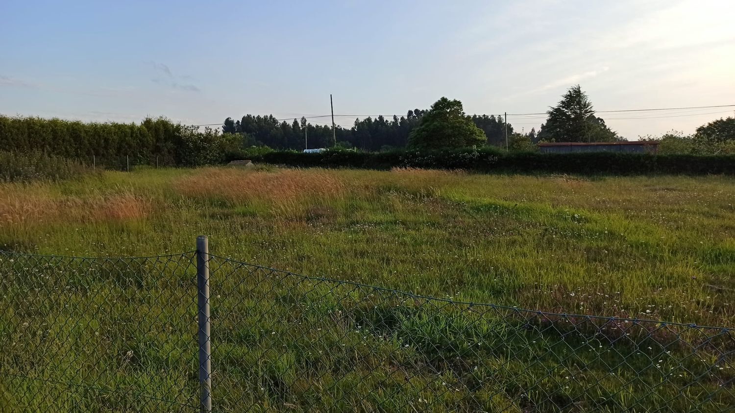 Fincas y solares-Venta-Castrillón-449647