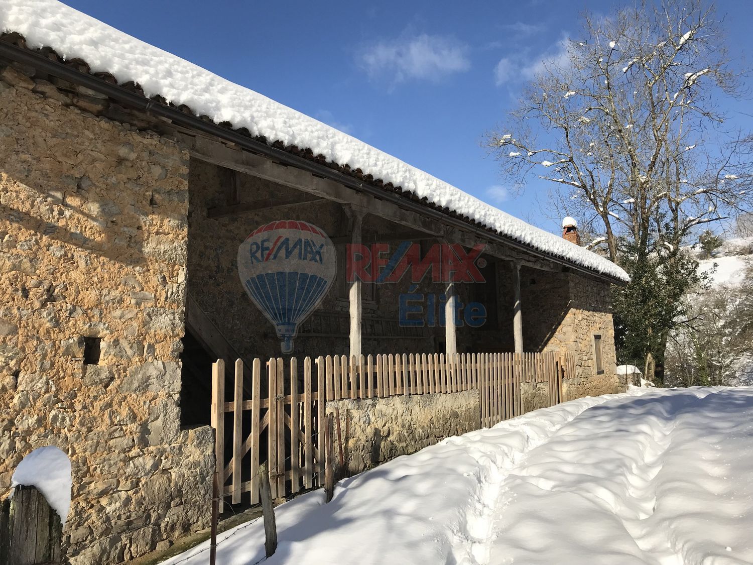 Casas o chalets-Venta-PiloÃ±a-440046-Foto-2