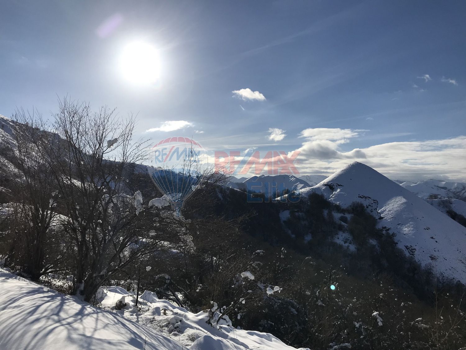 Casas o chalets-Venta-PiloÃ±a-440046-Foto-18