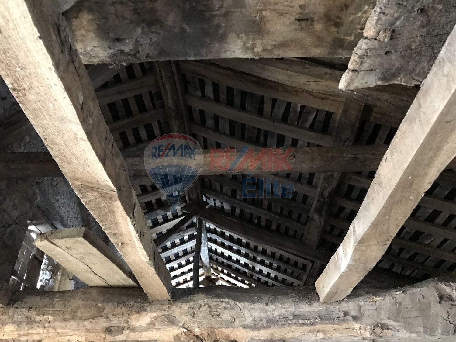 Casas o chalets-Venta-PiloÃ±a-440046-Foto-29