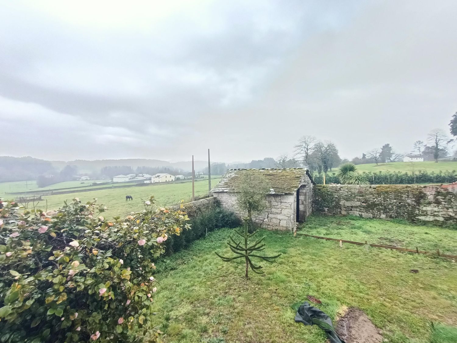 Casas o chalets-Venta-Lugo-1678723-Foto-60