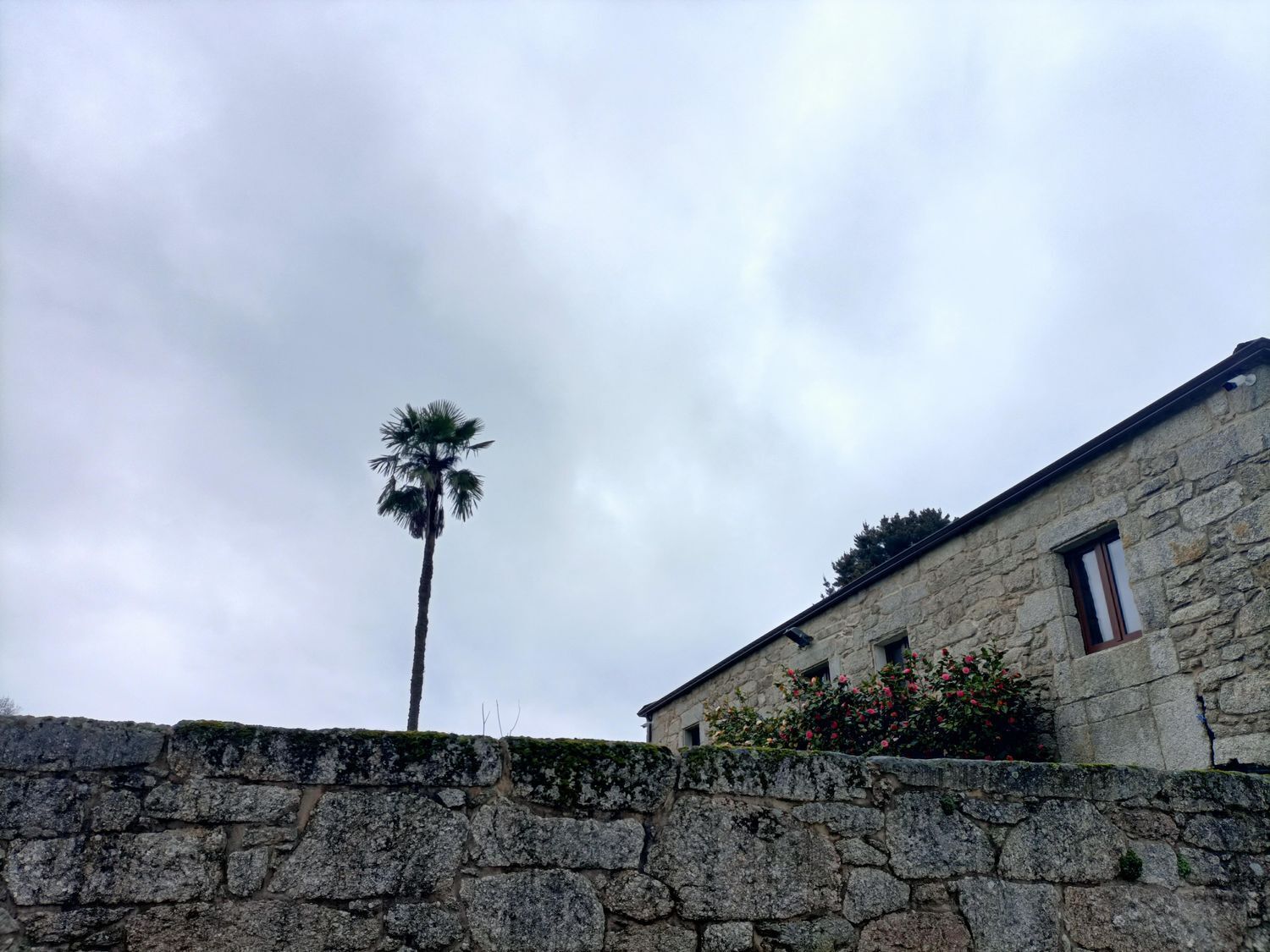Casas o chalets-Venta-Lugo-1678723-Foto-93
