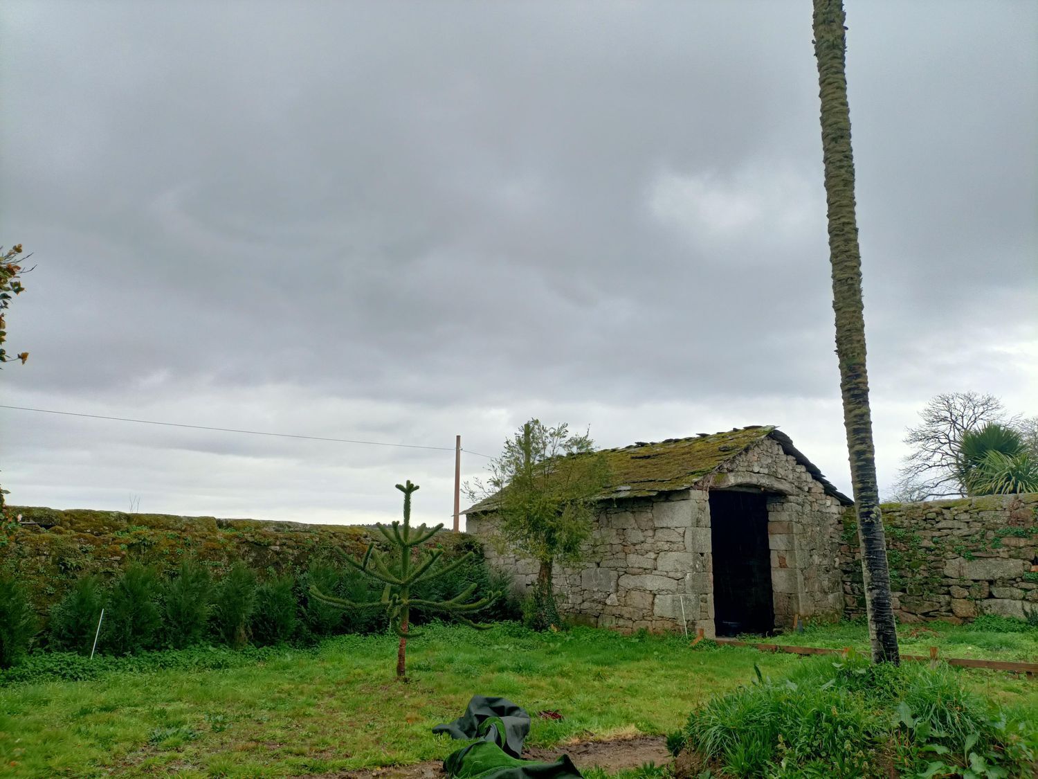 Casas o chalets-Venta-Lugo-1678723-Foto-98