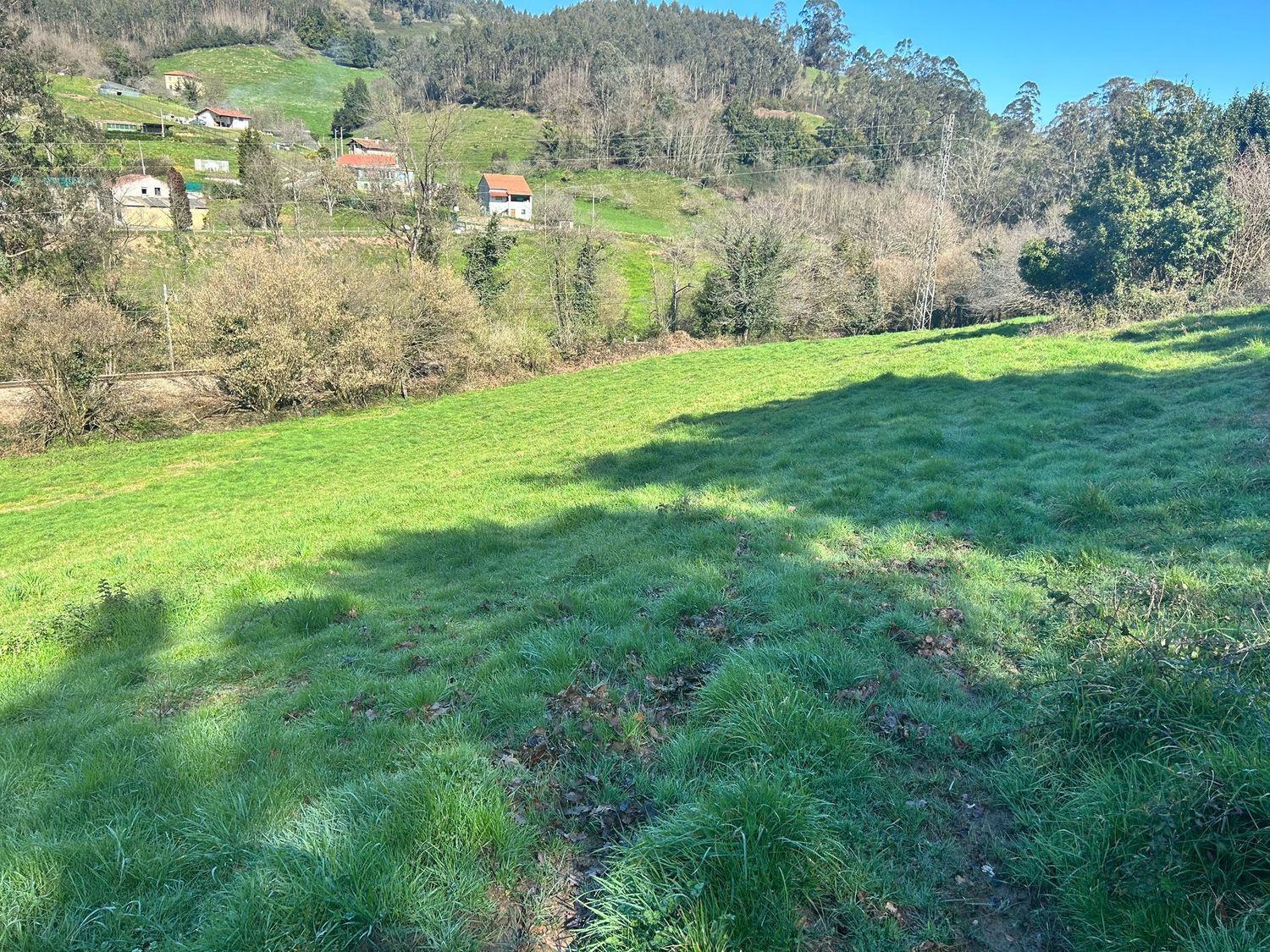 Fincas y solares-Venta-GijÃ³n-1718738-Foto-3