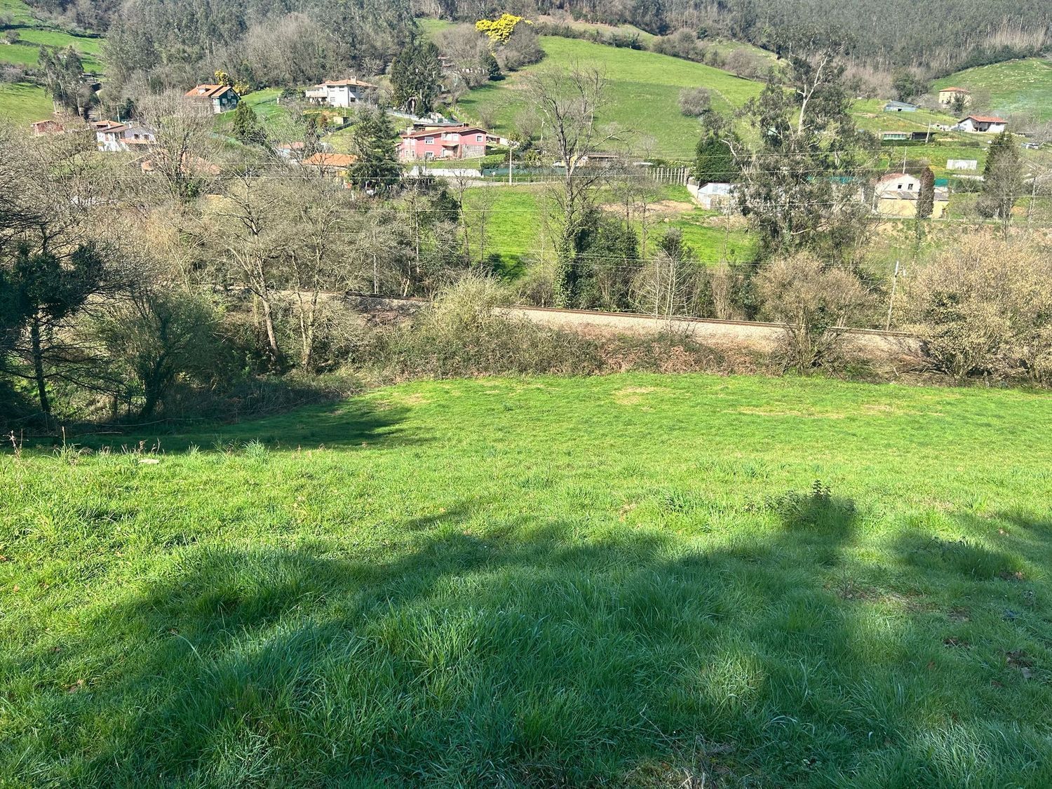 Fincas y solares-Venta-GijÃ³n-1718738-Foto-4