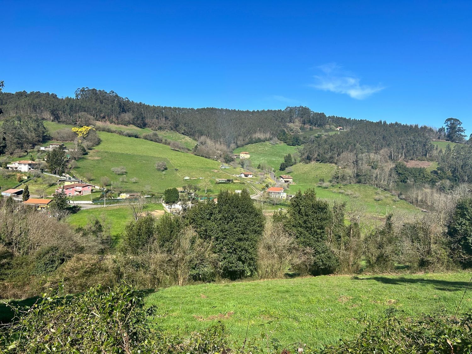 Fincas y solares-Venta-GijÃ³n-1718738-Foto-7